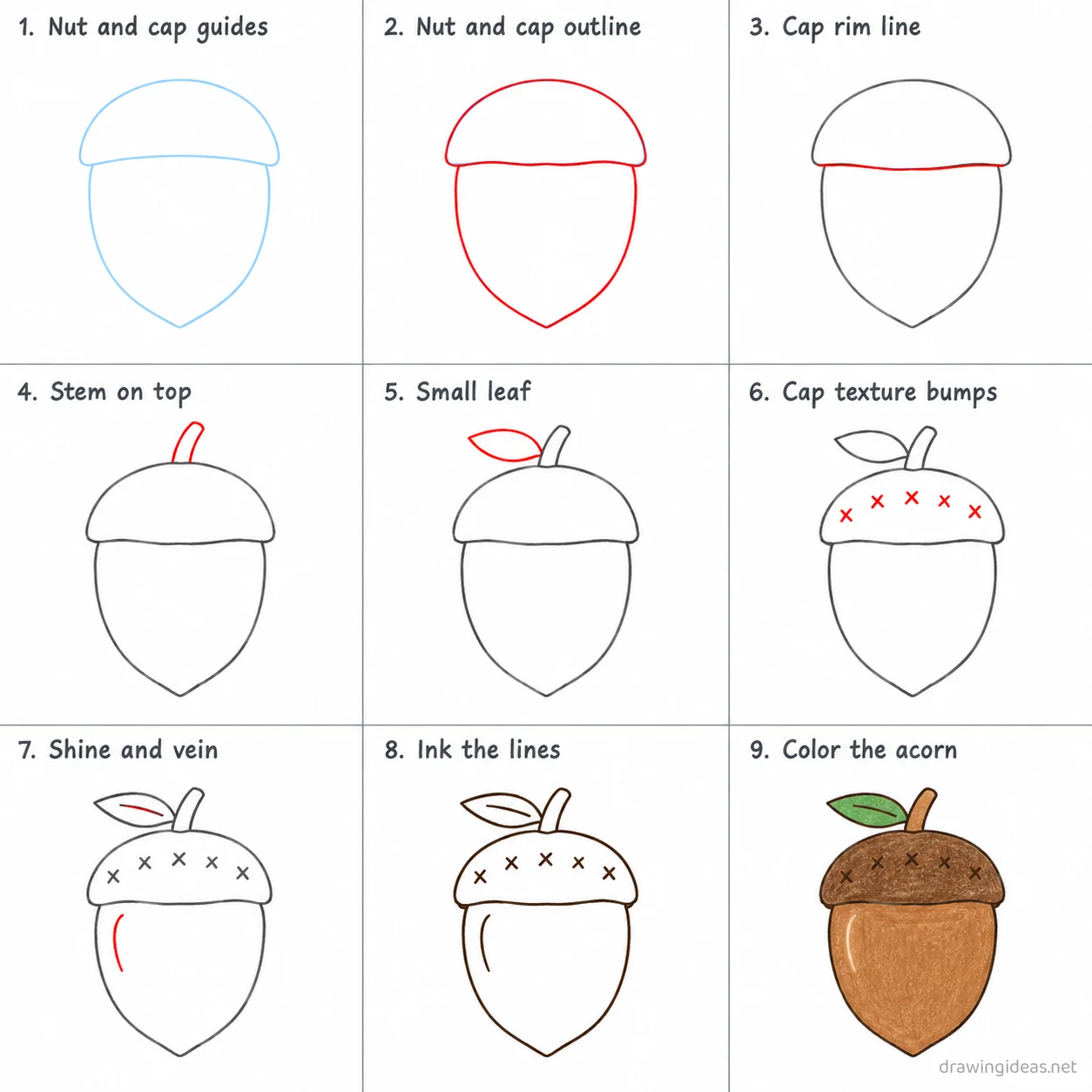 How to draw an acorn step by step — 9-step acorn drawing tutorial sheet