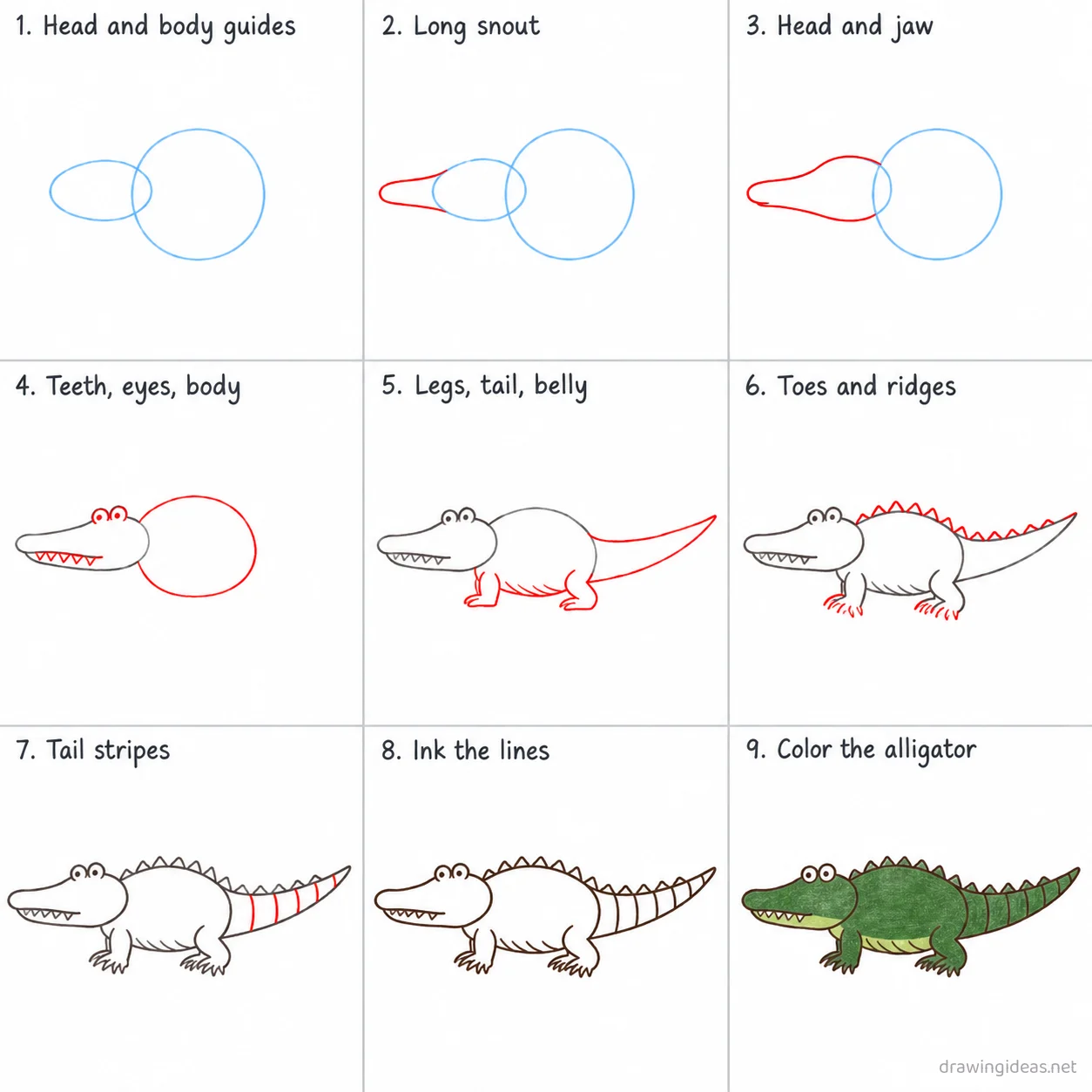 How to draw an alligator step by step — 9-step alligator drawing tutorial sheet
