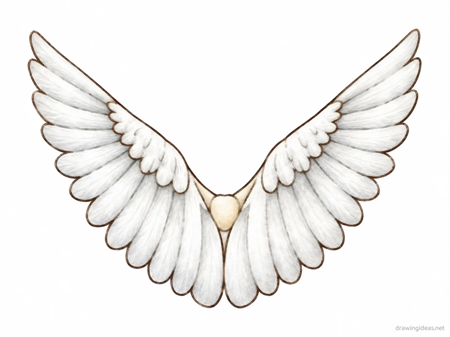 Angel Wing drawing — hand-drawn angel wing illustration with ink lines and soft colors