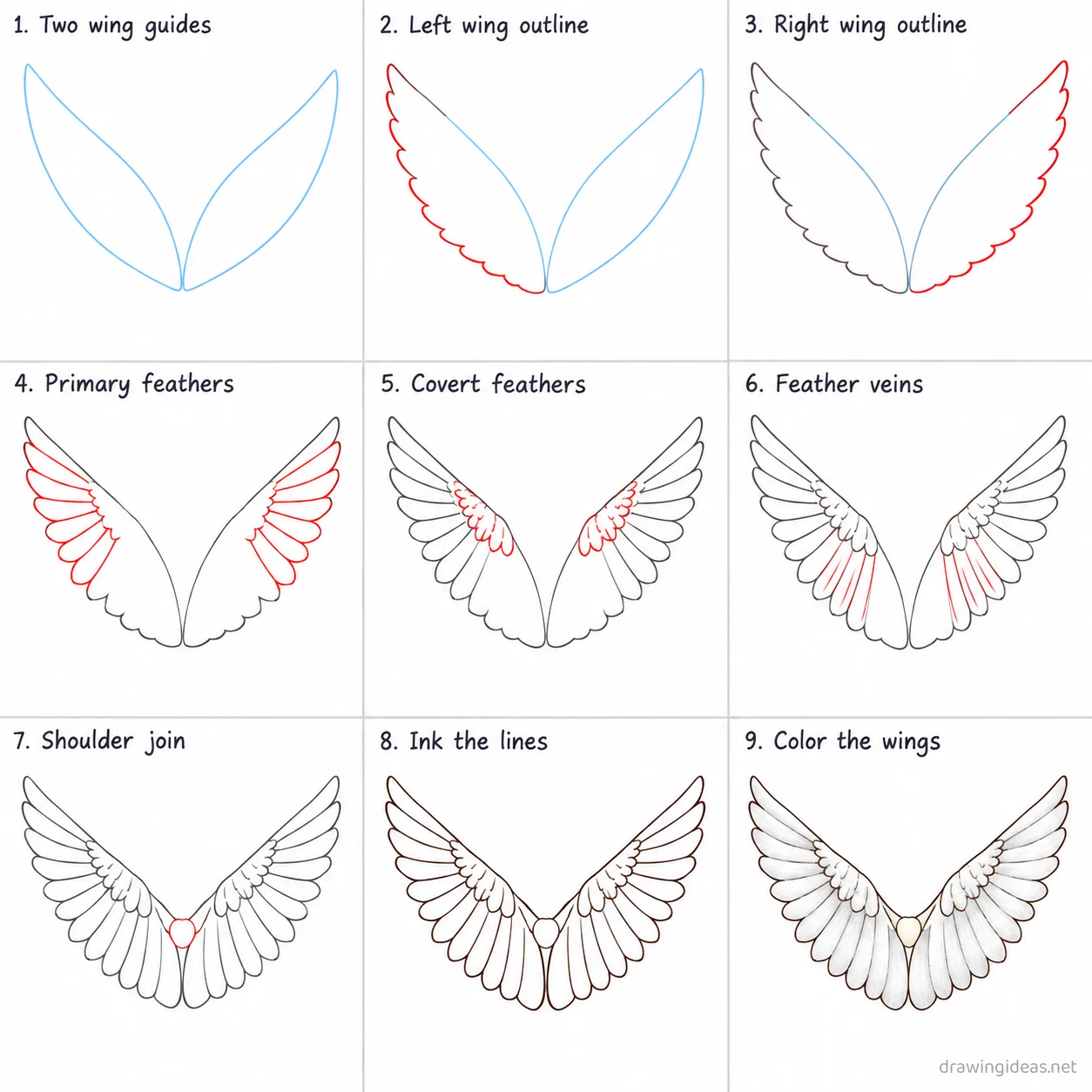 How to draw an angel wing step by step — 9-step angel wing drawing tutorial sheet