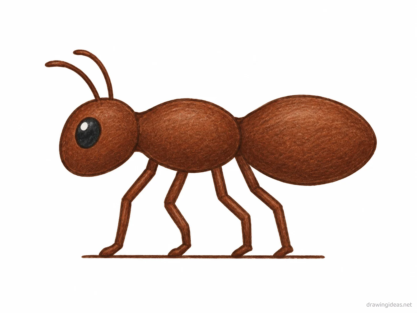 Ant drawing — hand-drawn ant illustration with ink lines and soft colors