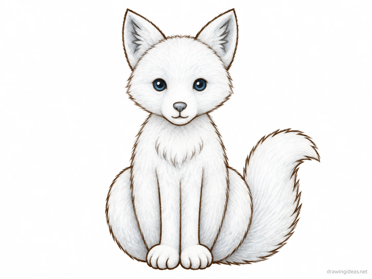 Arctic Fox drawing — hand-drawn arctic fox illustration with ink lines and soft colors