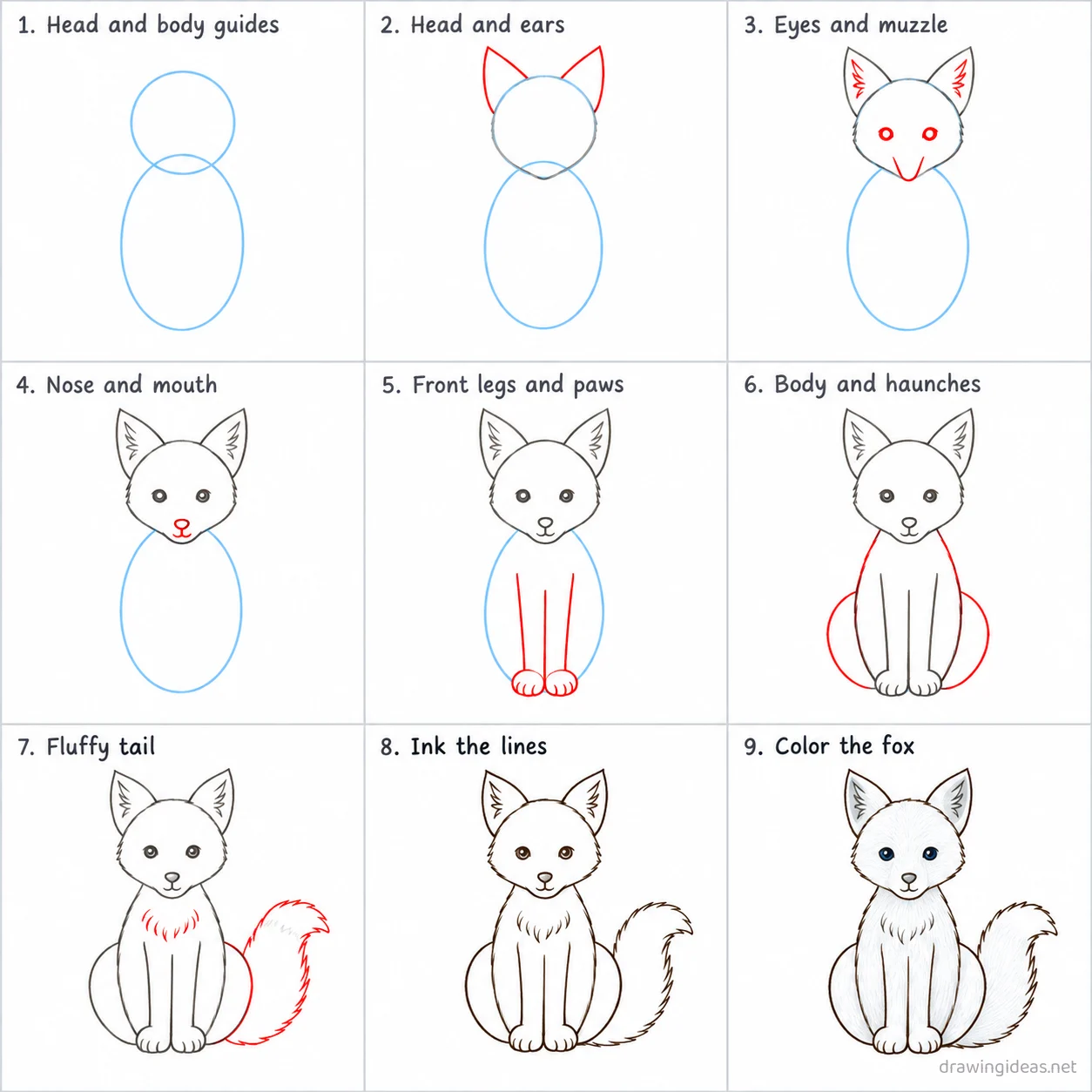 How to draw an arctic fox step by step — 9-step arctic fox drawing tutorial sheet