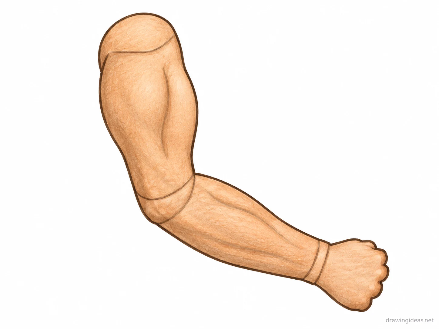 Arm drawing — hand-drawn arm illustration with ink lines and soft colors