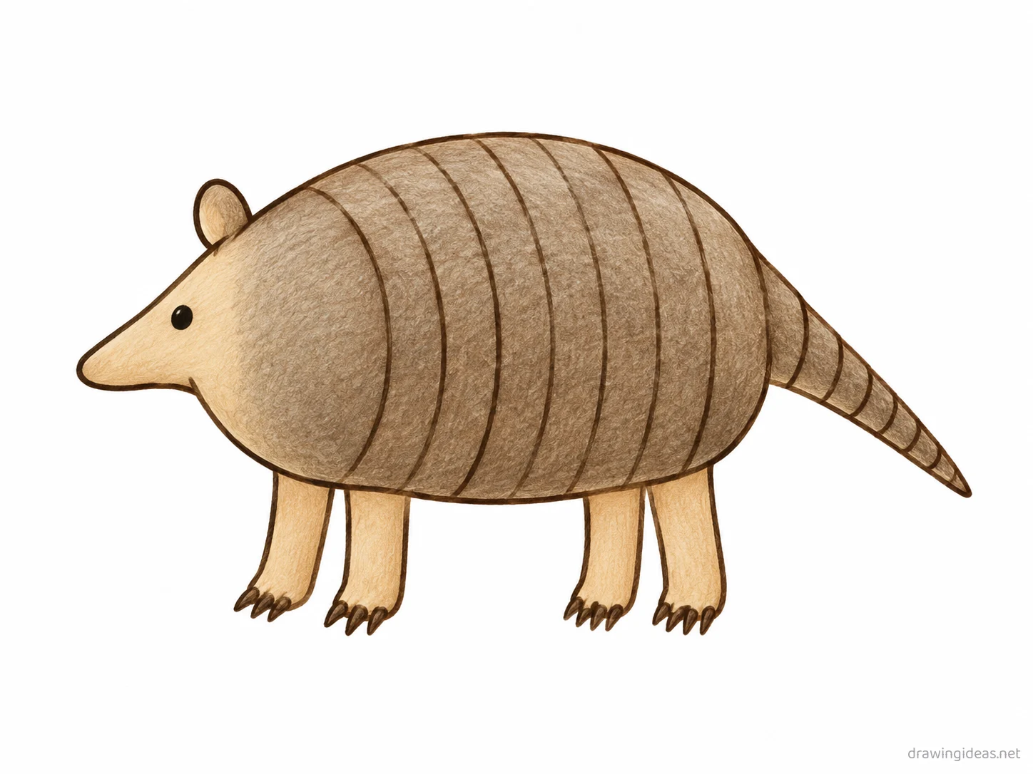 Armadillo drawing — hand-drawn armadillo illustration with ink lines and soft colors