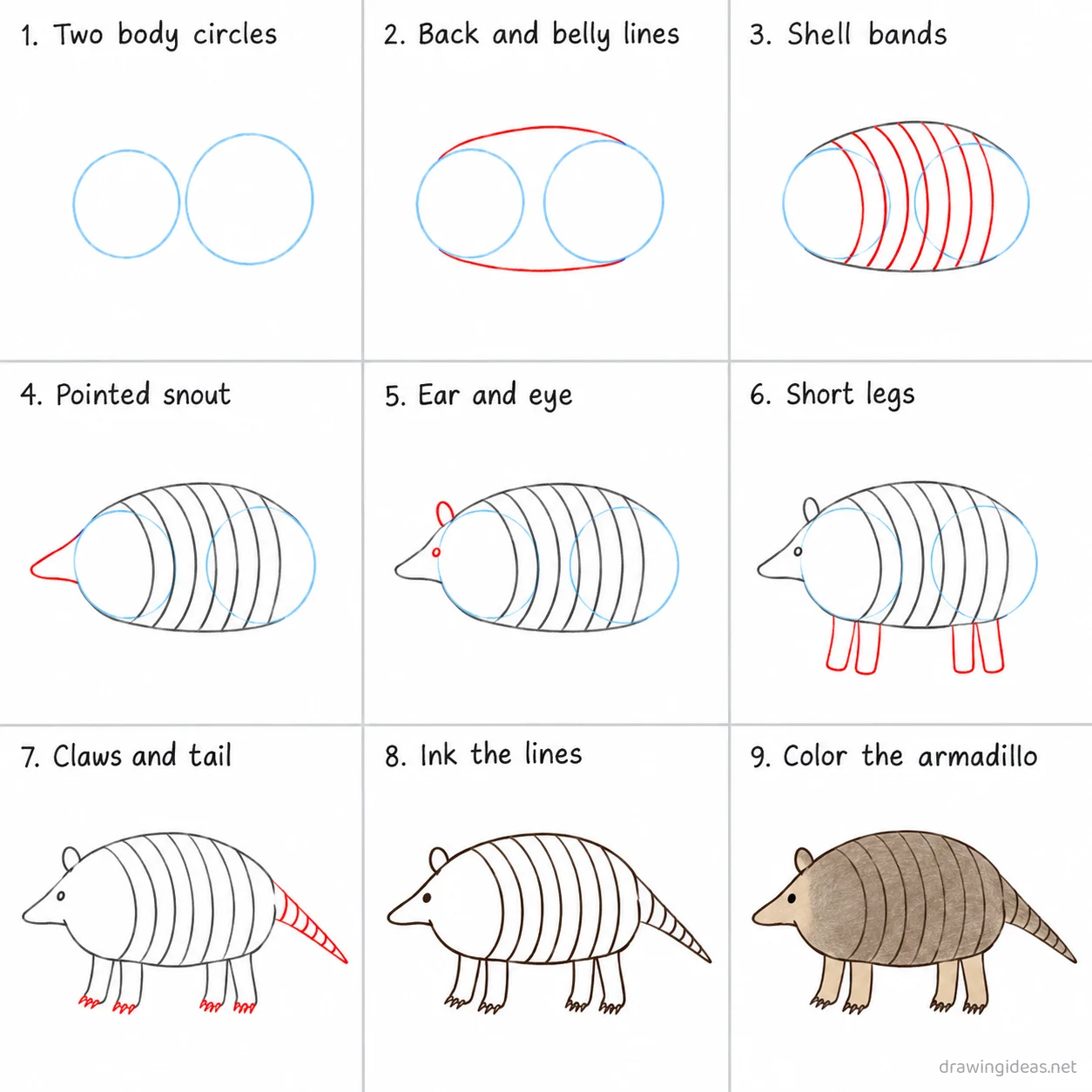 How to draw an armadillo step by step — 9-step armadillo drawing tutorial sheet