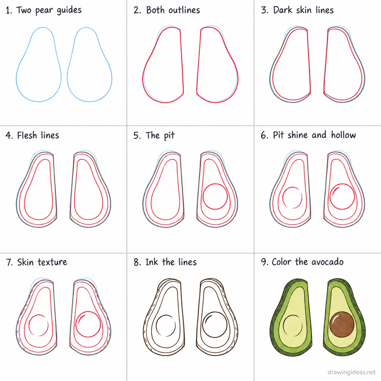 How to draw an avocado step by step — 9-step avocado drawing tutorial sheet