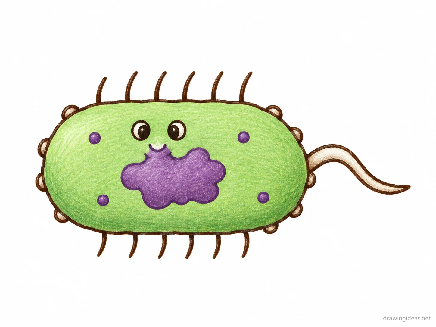 Bacteria drawing — hand-drawn bacteria illustration with ink lines and soft colors