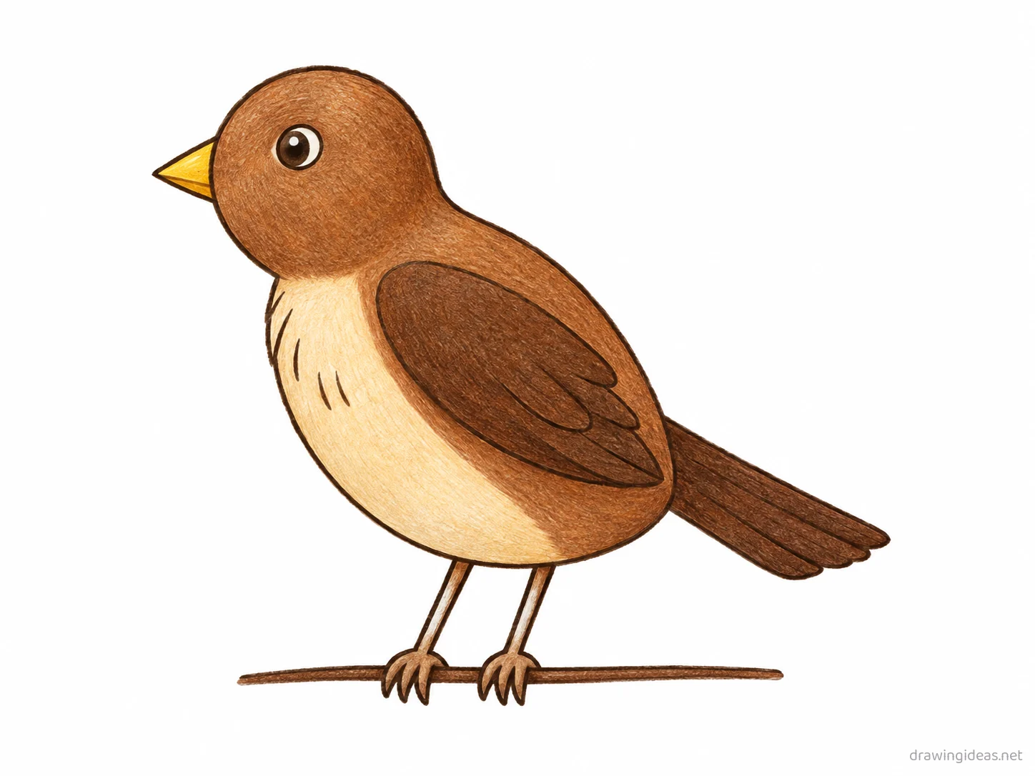 Bird drawing — hand-drawn bird illustration with ink lines and soft colors