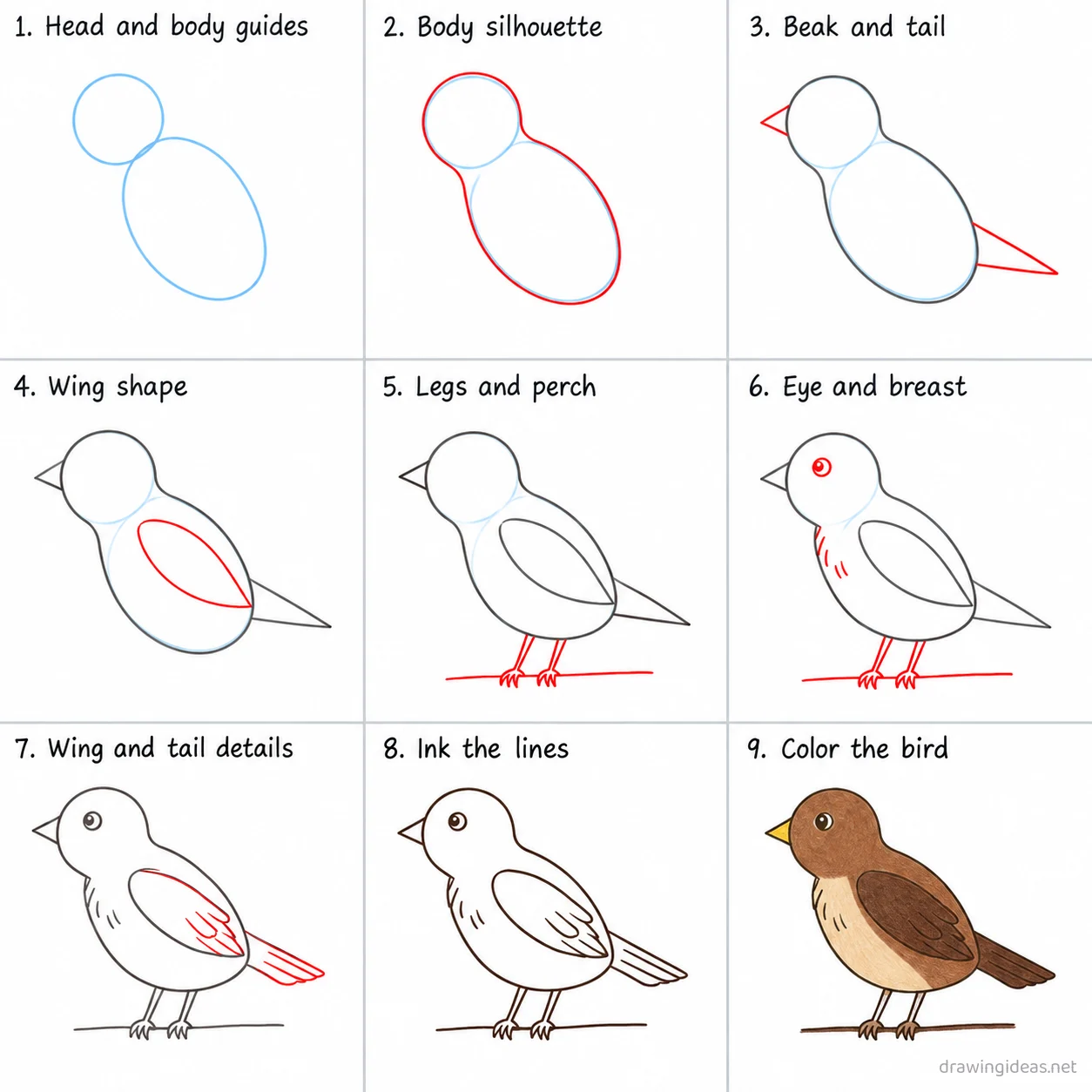 How to draw a bird step by step — 9-step bird drawing tutorial sheet