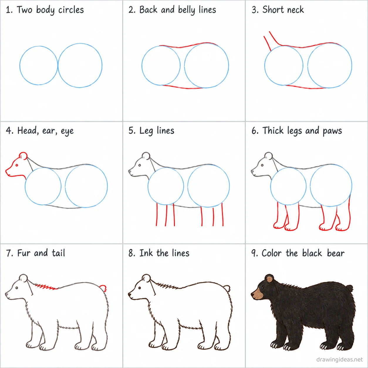 How to draw a black bear step by step — 9-step black bear drawing tutorial sheet
