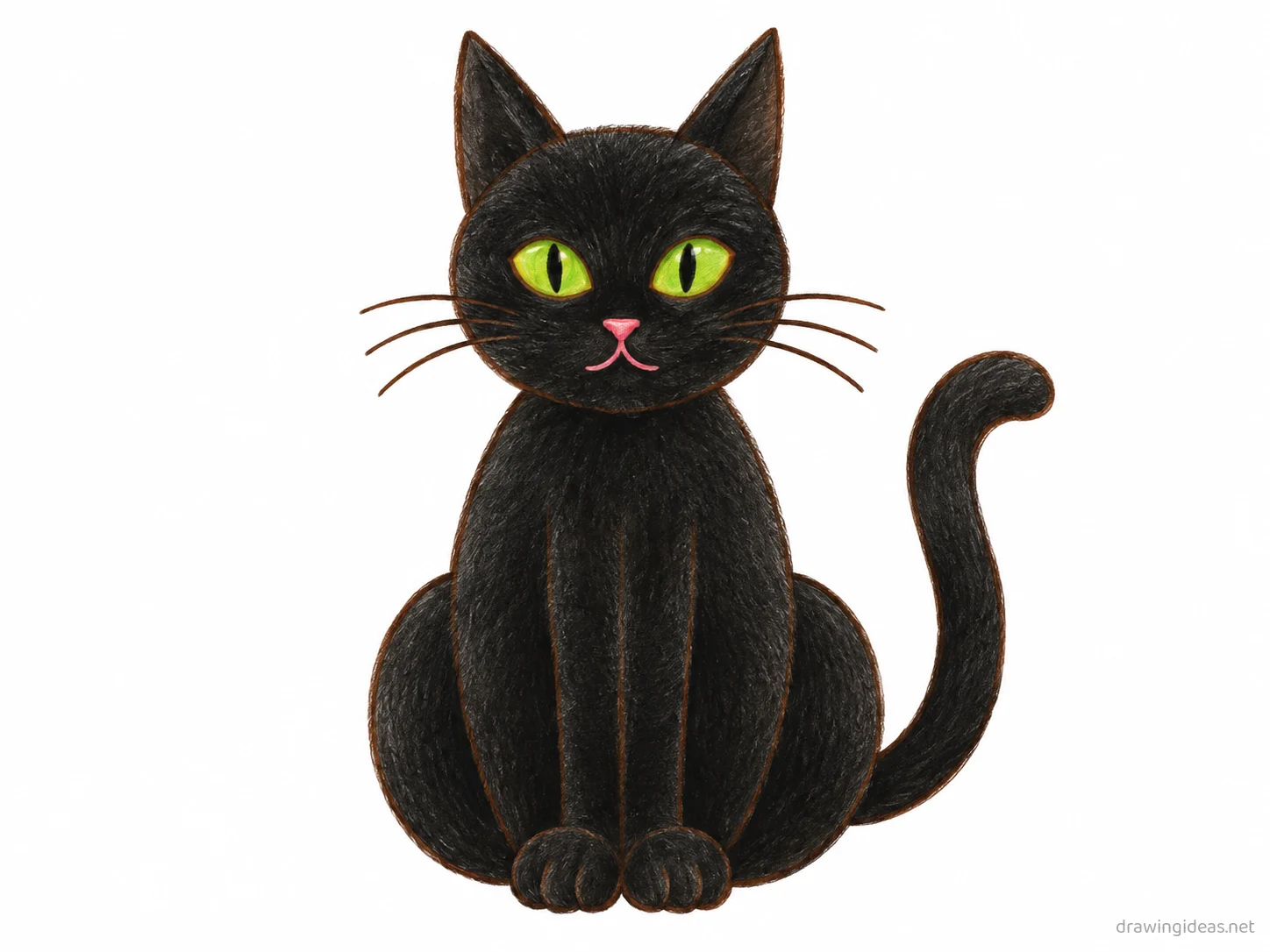 Black Cat drawing — hand-drawn black cat illustration with ink lines and soft colors