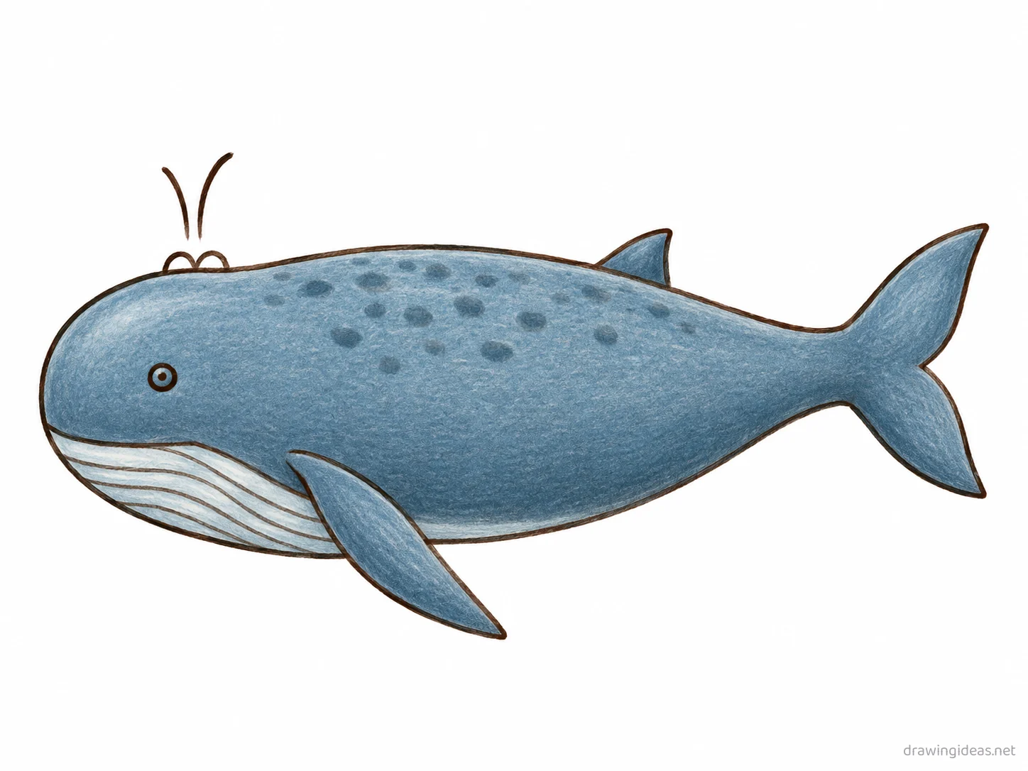 Blue Whale drawing — hand-drawn blue whale illustration with ink lines and soft colors