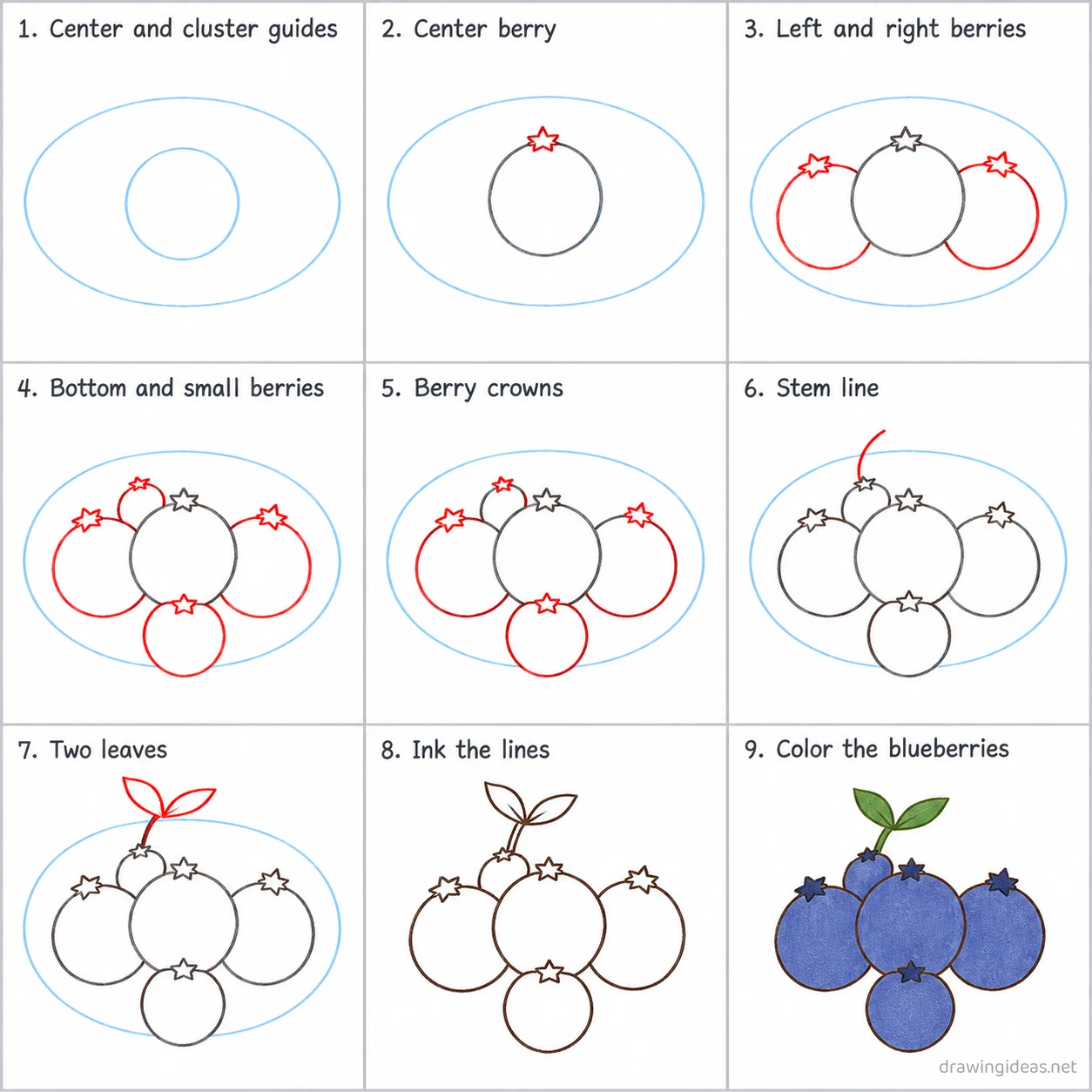 How to draw a blueberry step by step — 9-step blueberry drawing tutorial sheet