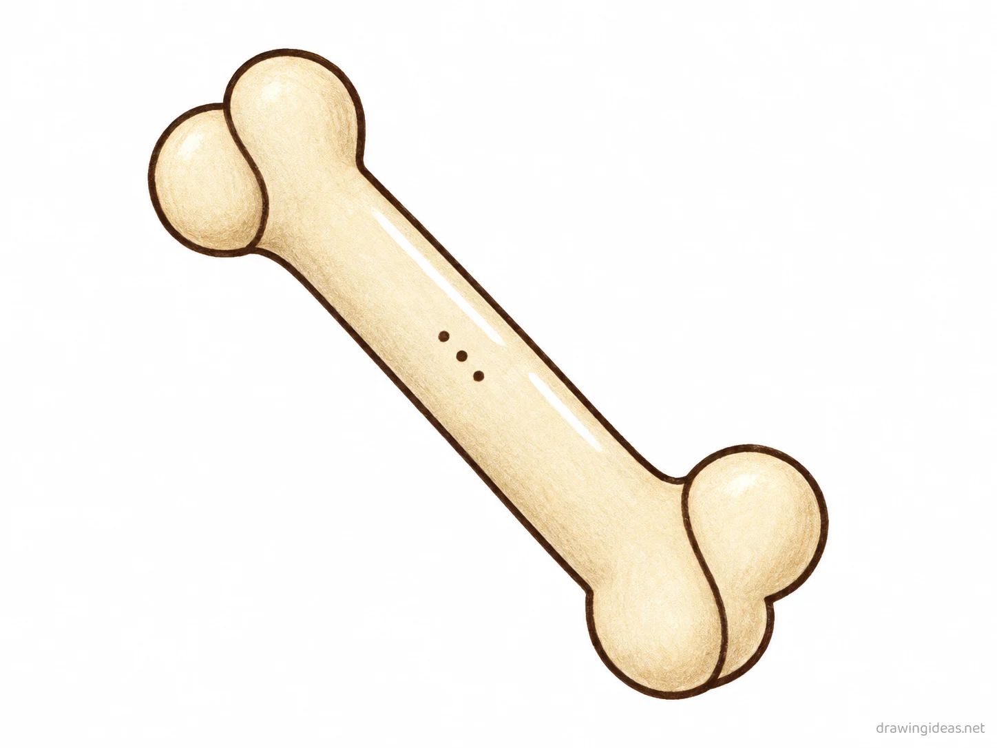 Bone drawing — hand-drawn bone illustration with ink lines and soft colors