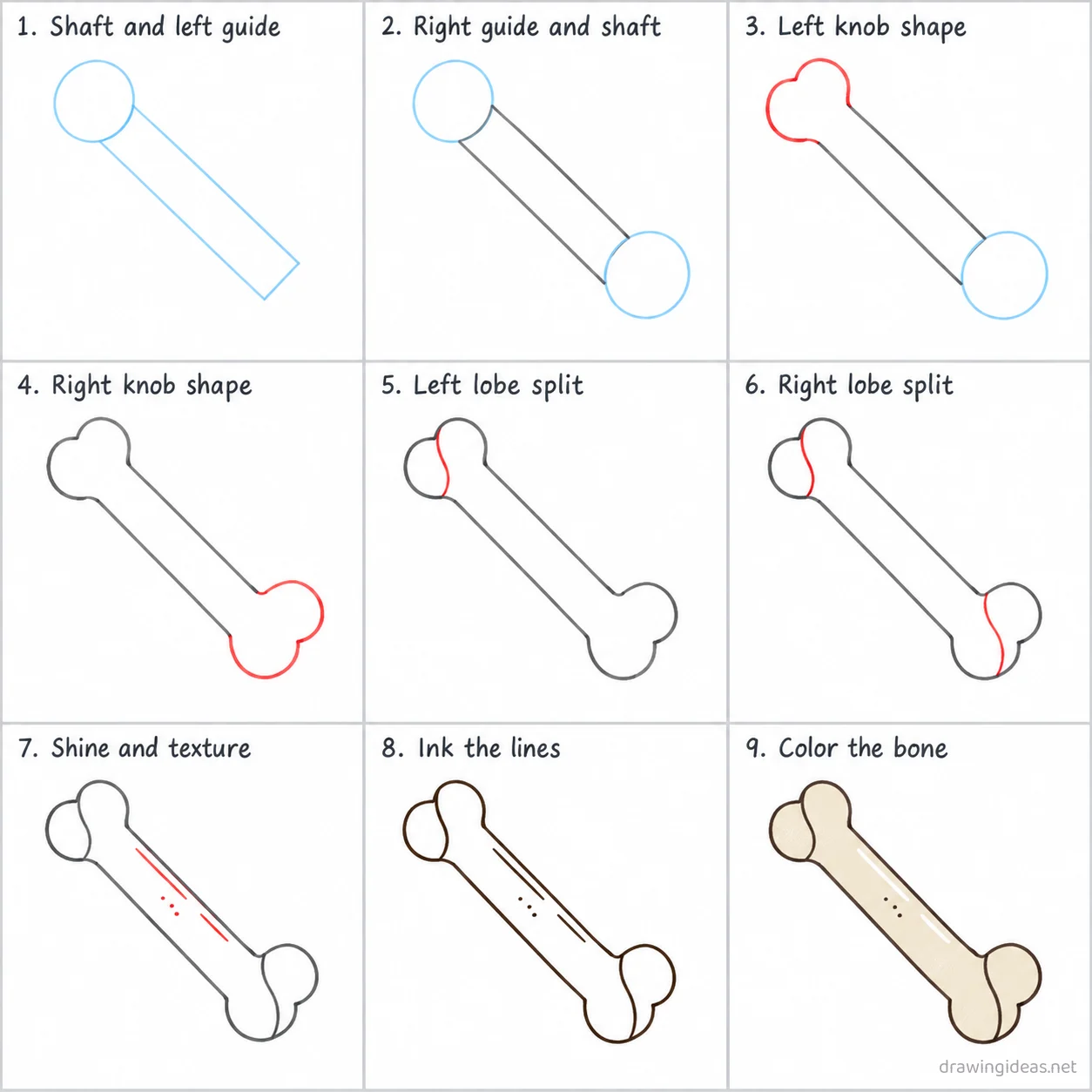 How to draw a bone step by step — 9-step bone drawing tutorial sheet