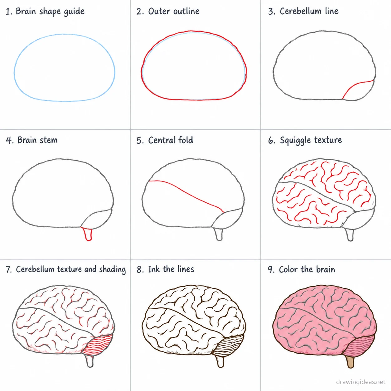 How to draw a brain step by step — 9-step brain drawing tutorial sheet