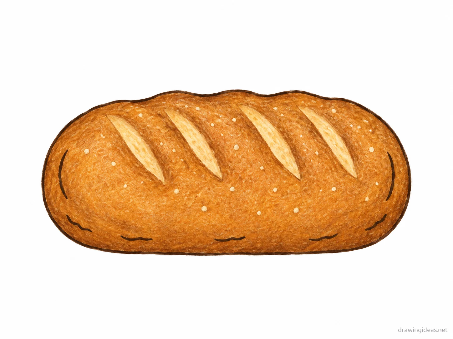 Bread drawing — hand-drawn bread illustration with ink lines and soft colors