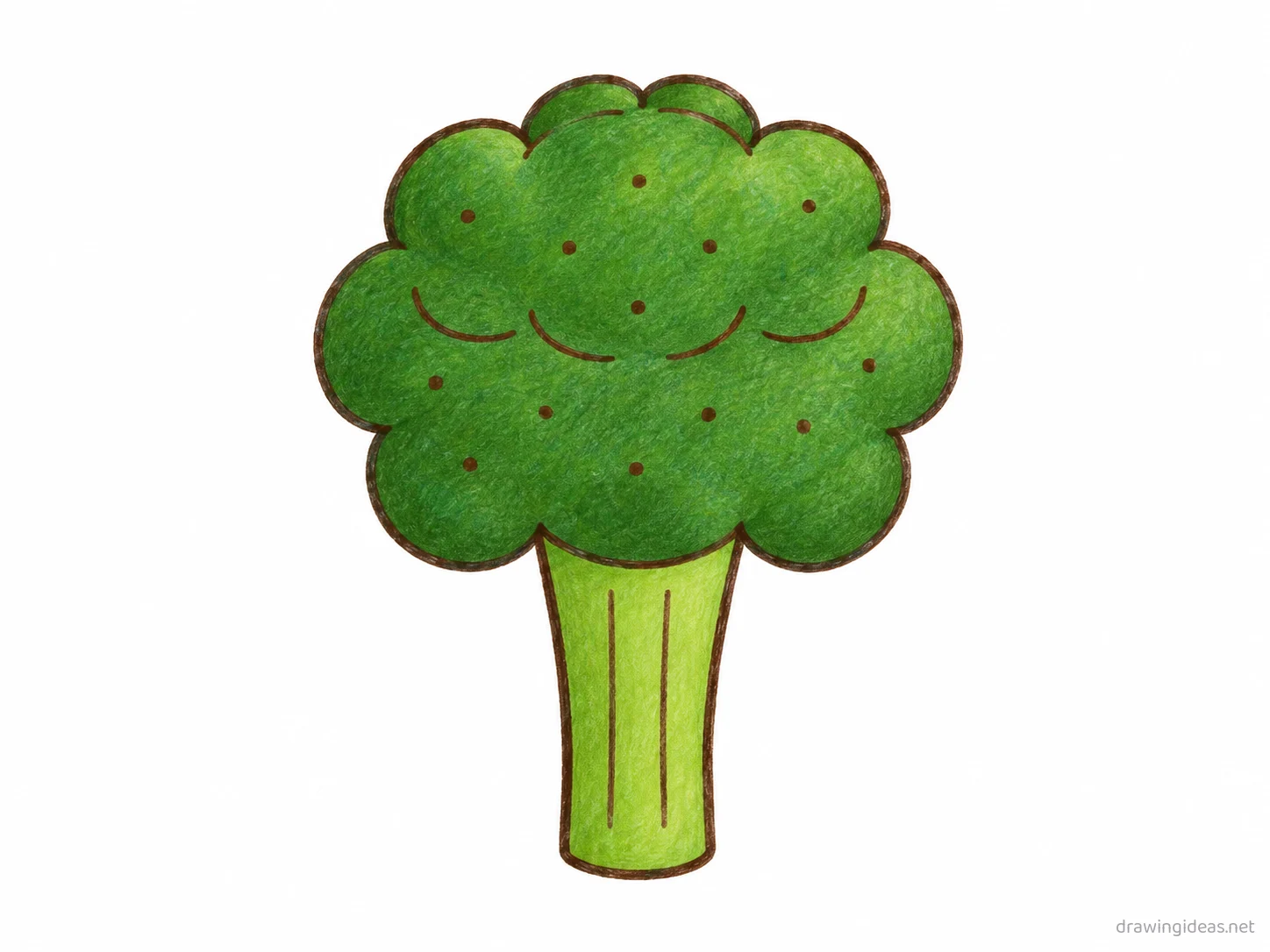Broccoli drawing — hand-drawn broccoli illustration with ink lines and soft colors