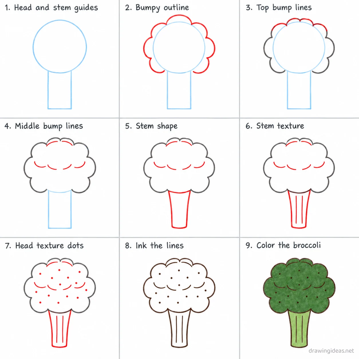 How to draw broccoli step by step — 9-step broccoli drawing tutorial sheet