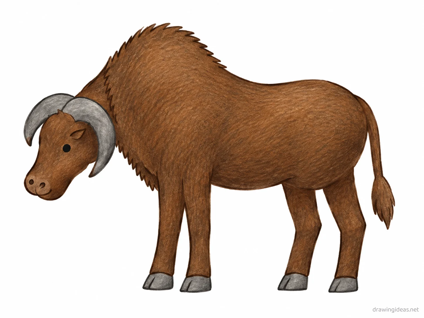 Buffalo drawing — hand-drawn buffalo illustration with ink lines and soft colors