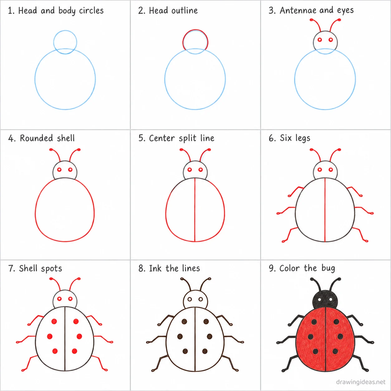 How to draw a bug step by step — 9-step bug drawing tutorial sheet