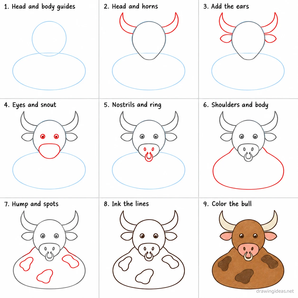 How to draw a bull step by step — 9-step bull drawing tutorial sheet