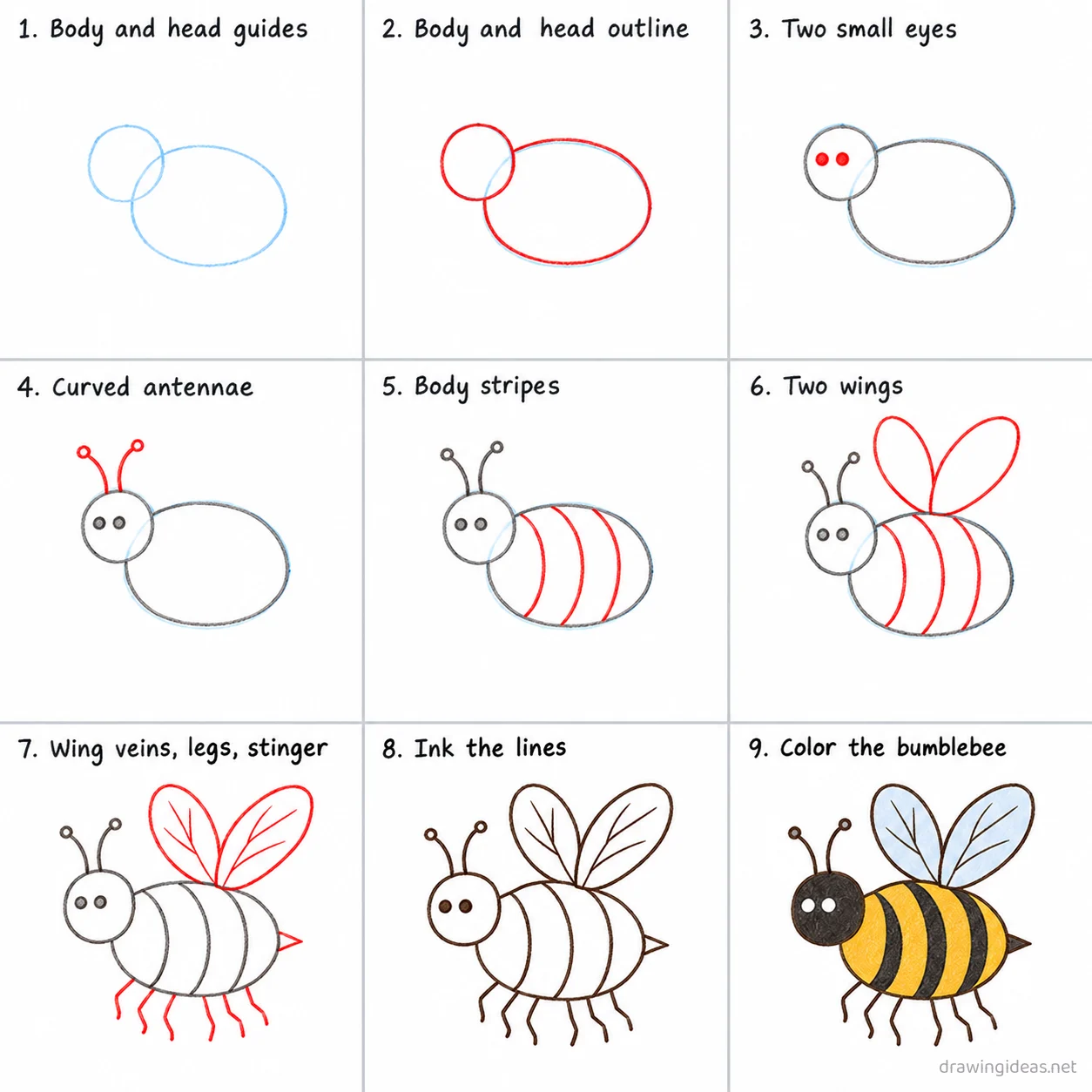 How to draw a bumblebee step by step — 9-step bumblebee drawing tutorial sheet