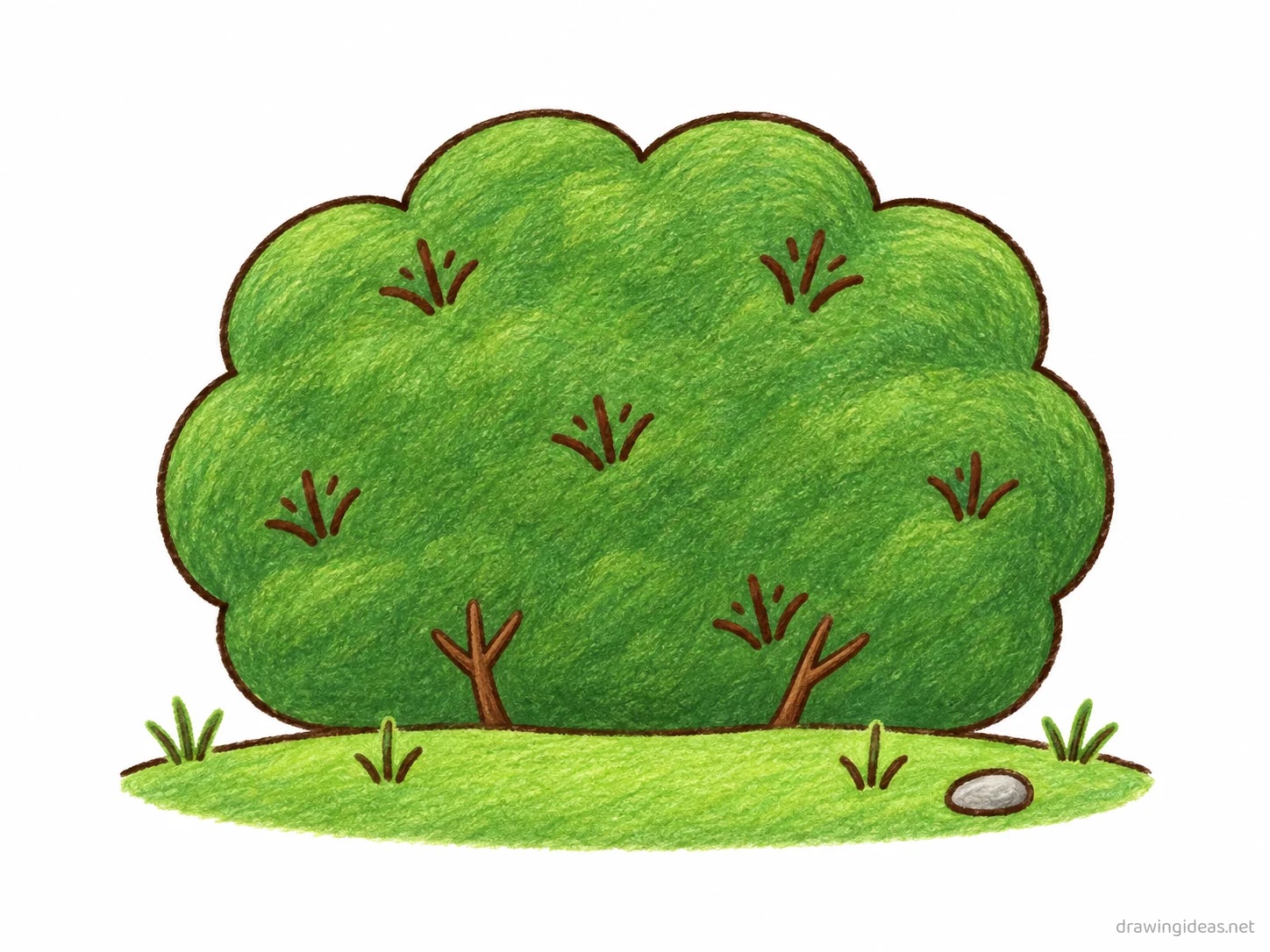 Bush drawing — hand-drawn bush illustration with ink lines and soft colors