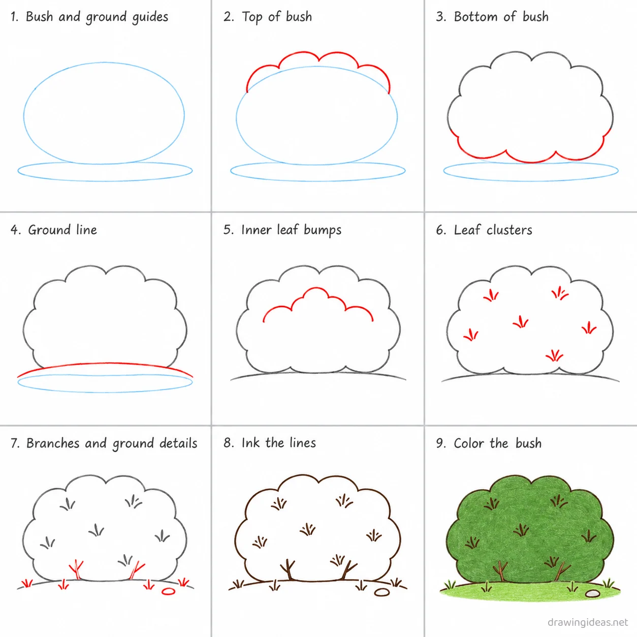 How to draw a bush step by step — 9-step bush drawing tutorial sheet