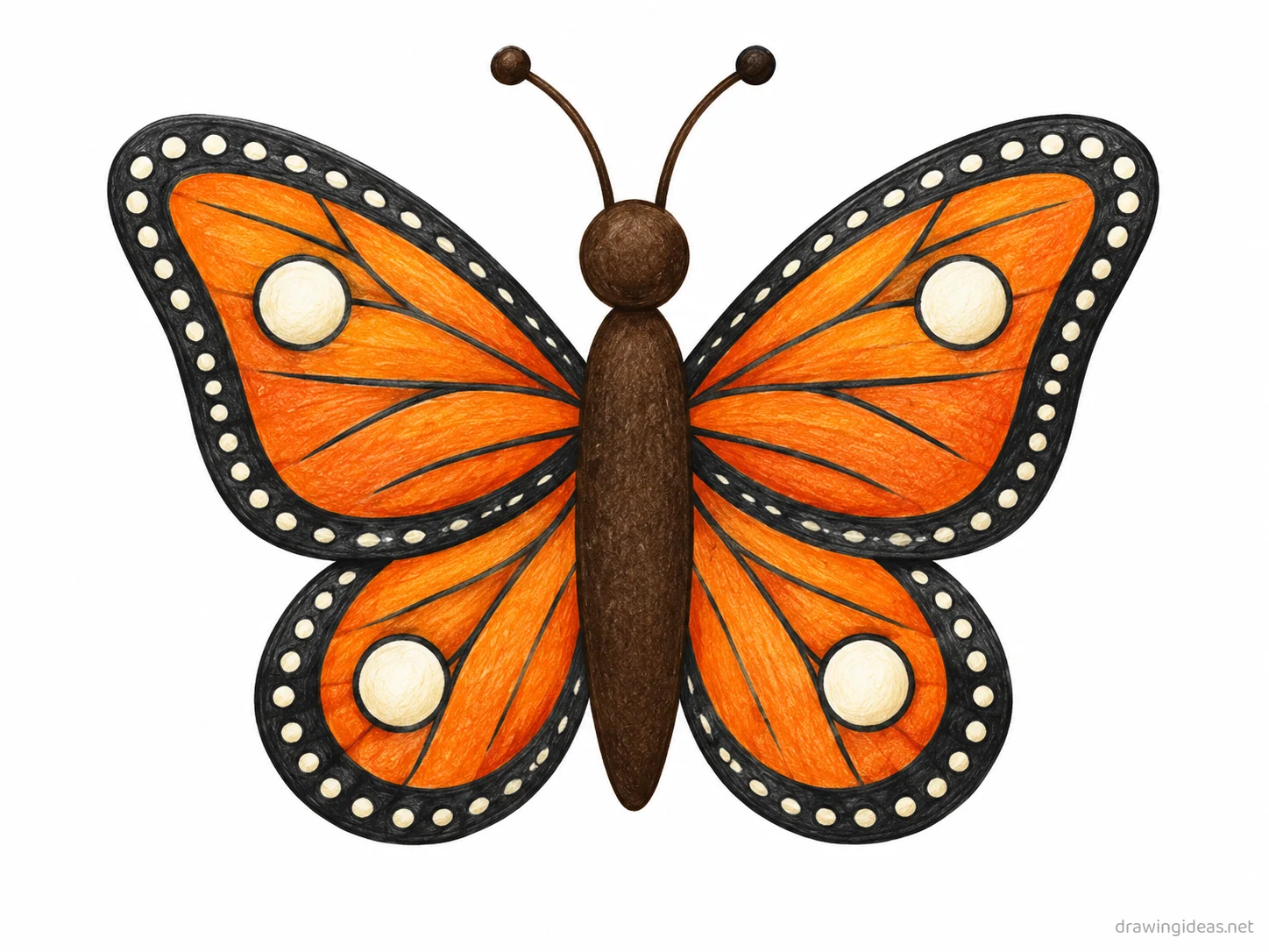 Butterfly drawing — hand-drawn butterfly illustration with ink lines and soft colors