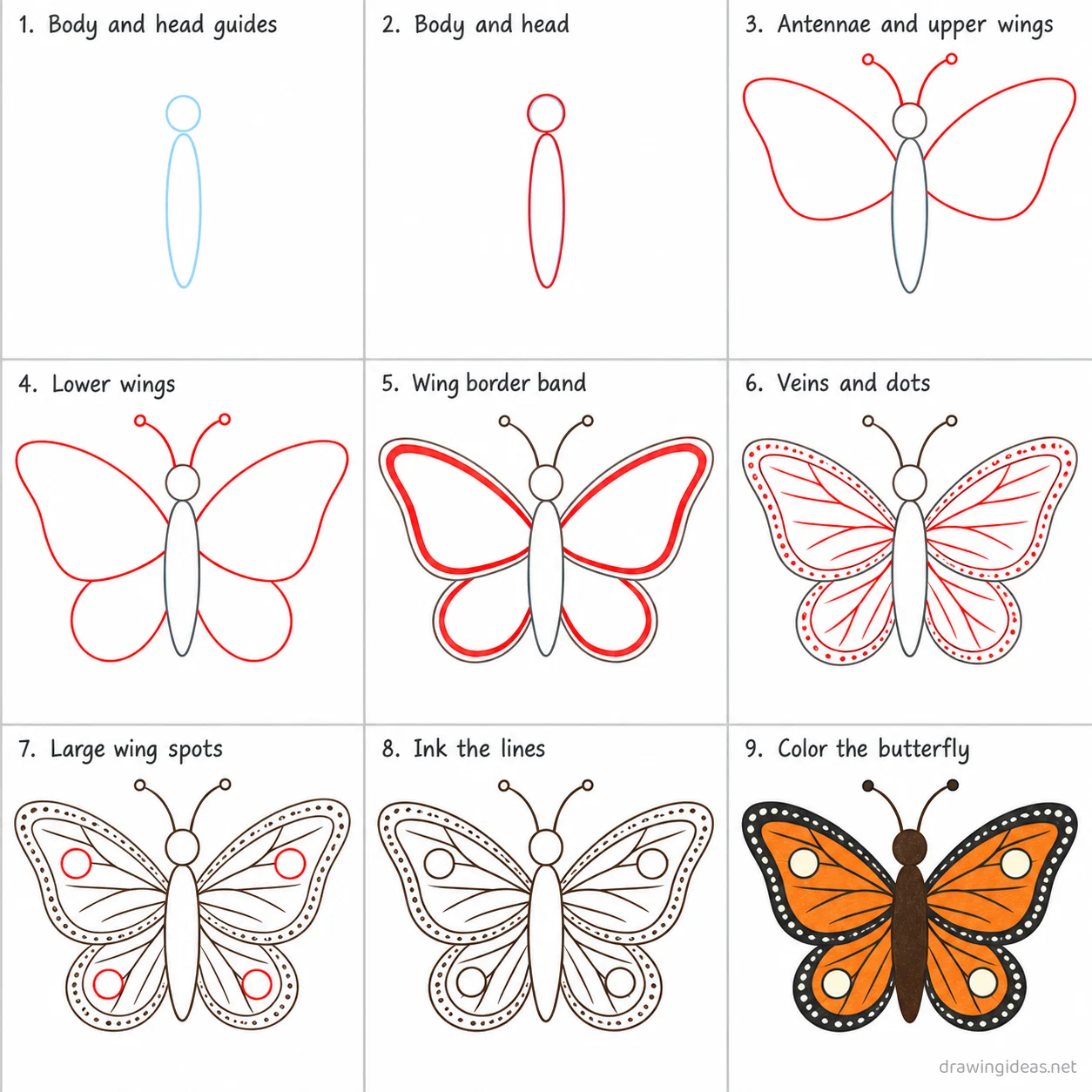 How to draw a butterfly step by step — 9-step butterfly drawing tutorial sheet