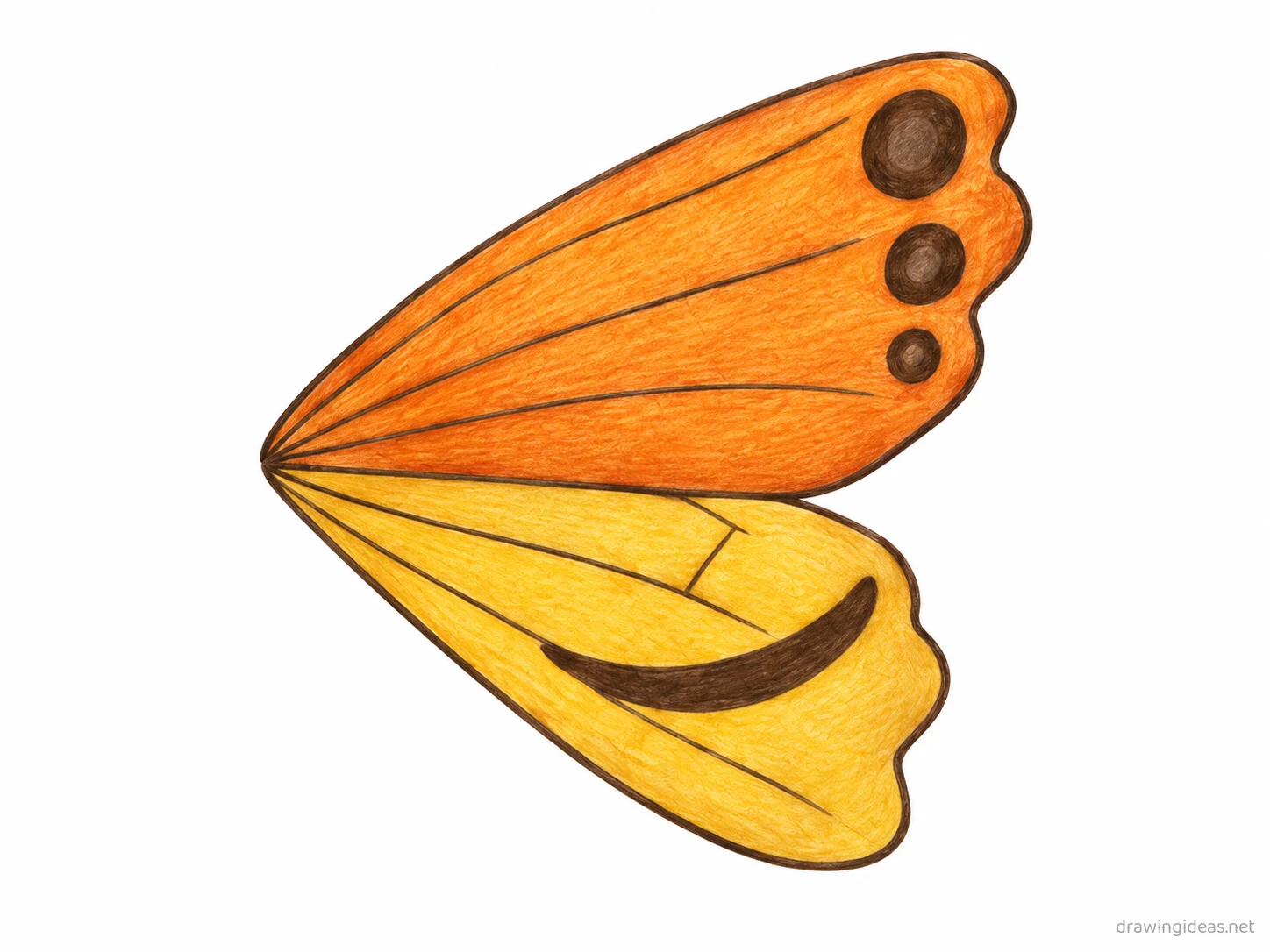 Butterfly Wing drawing — hand-drawn butterfly wing illustration with ink lines and soft colors
