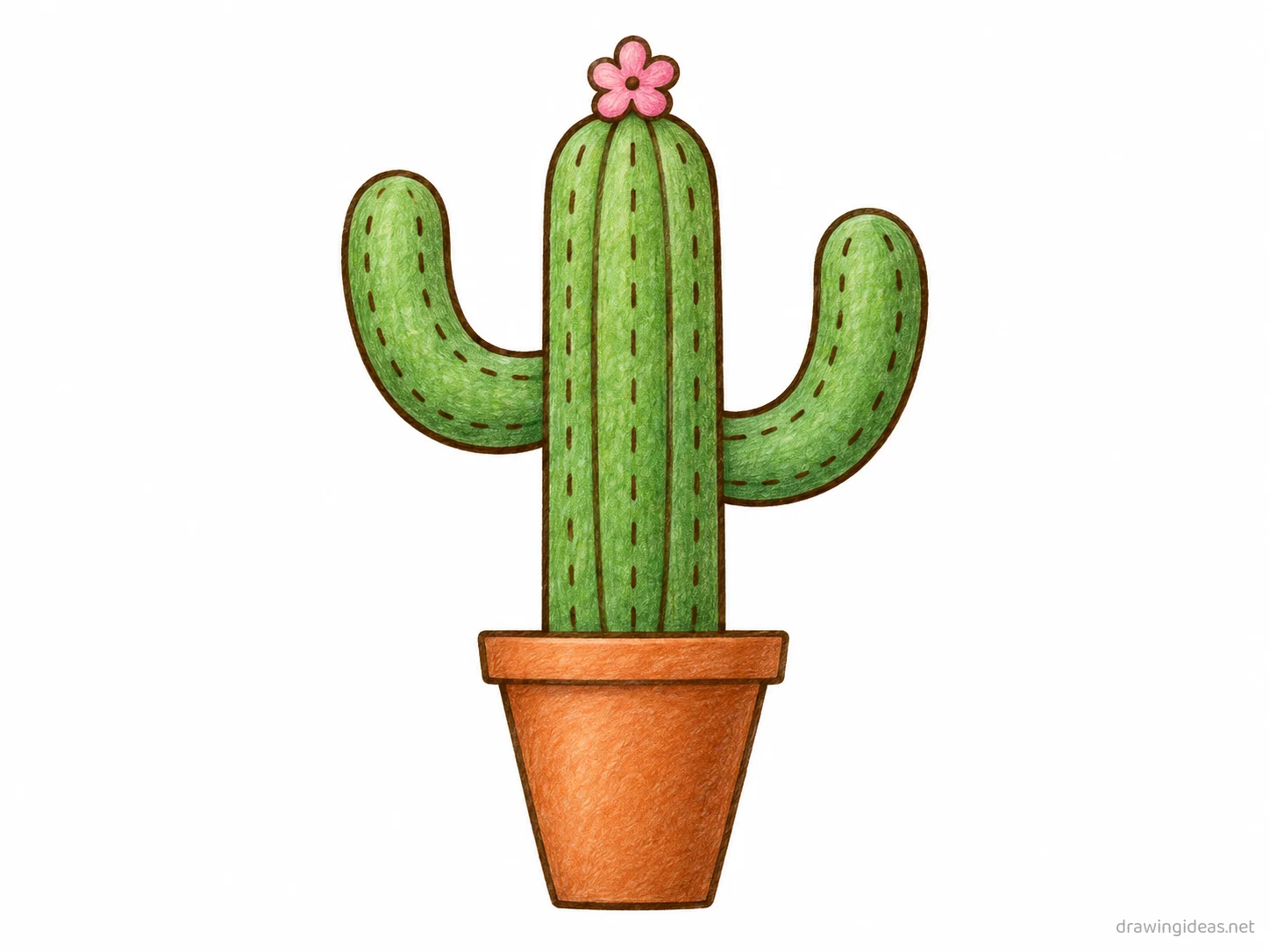 Cactus drawing — hand-drawn cactus illustration with ink lines and soft colors