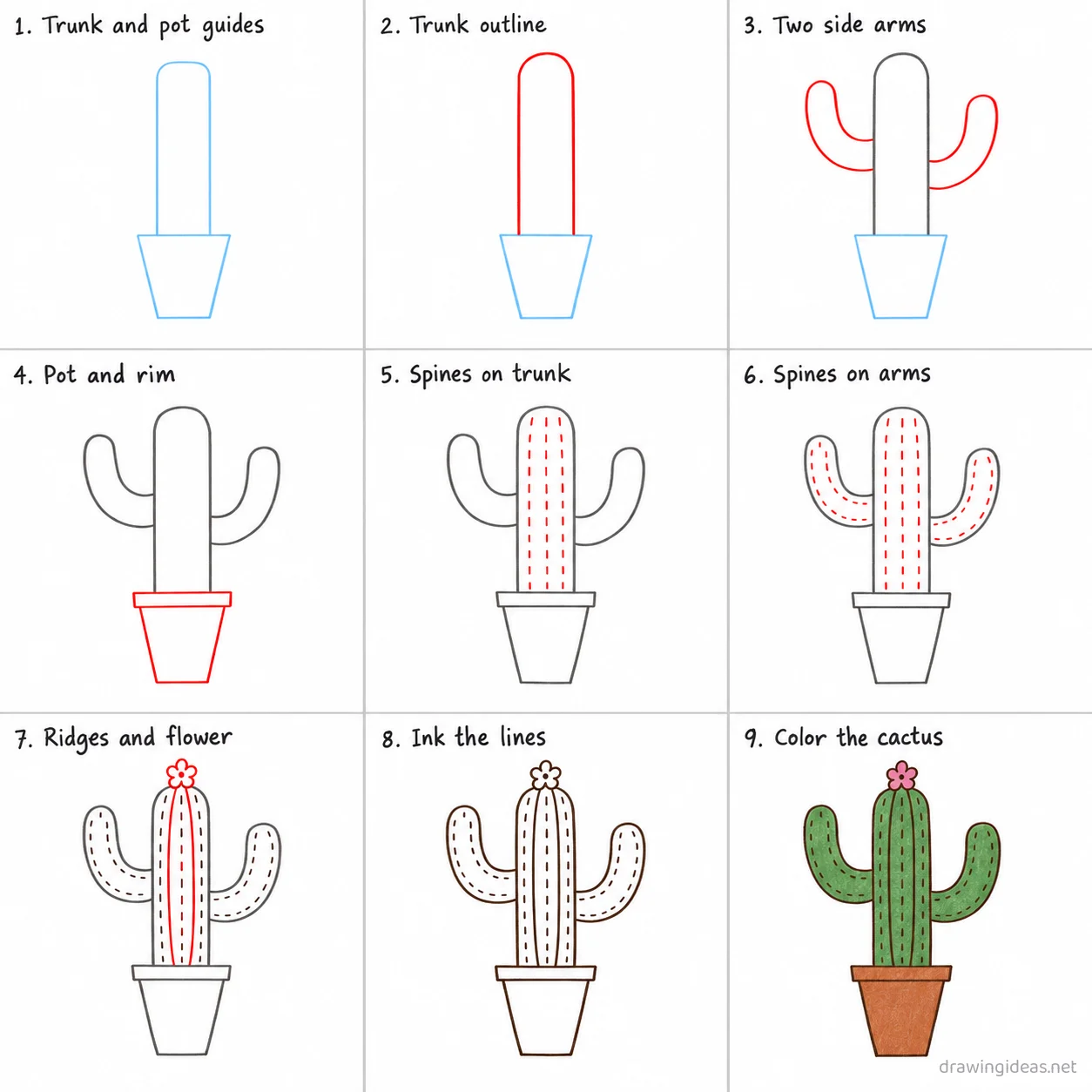 How to draw a cactus step by step — 9-step cactus drawing tutorial sheet