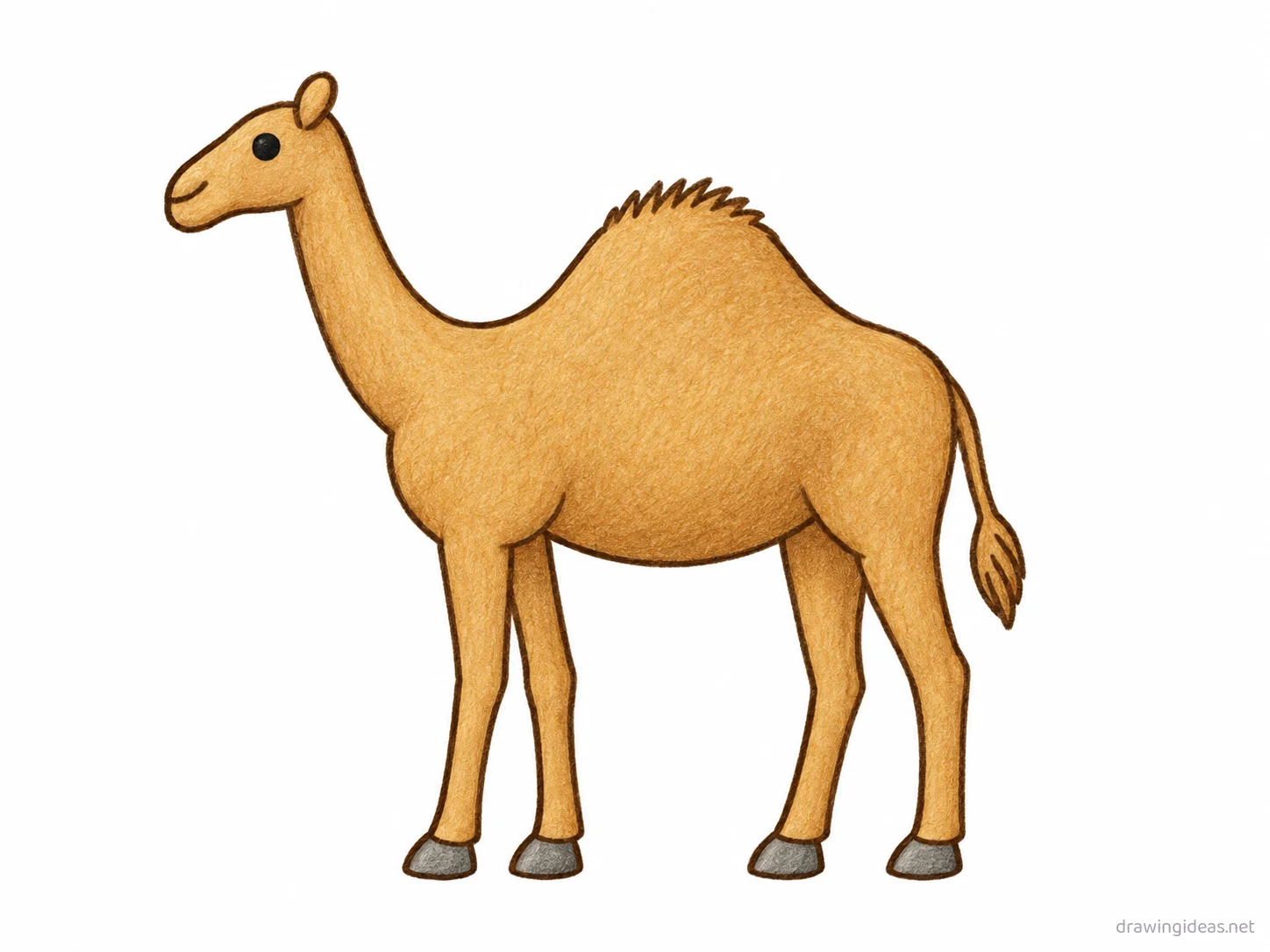 Camel drawing — hand-drawn camel illustration with ink lines and soft colors