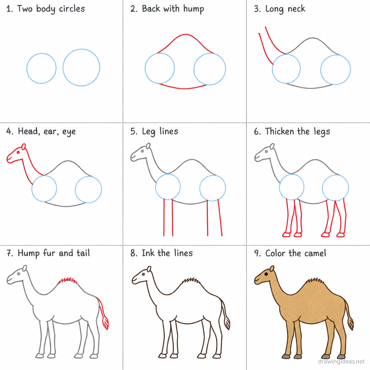 How to draw a camel step by step — 9-step camel drawing tutorial sheet