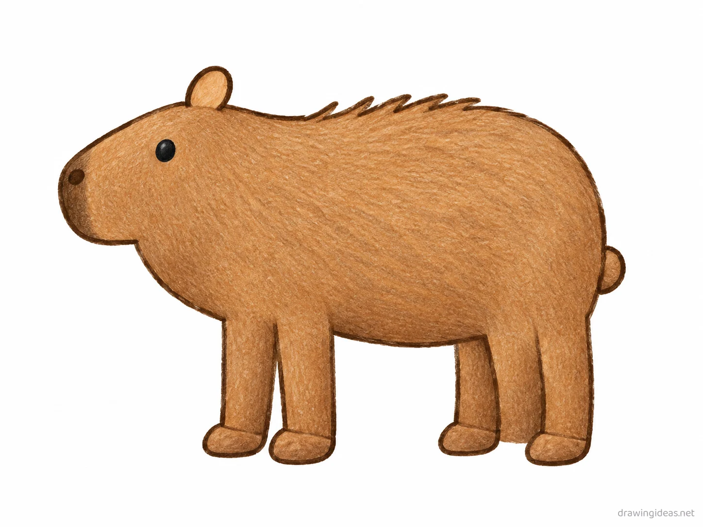 Capybara drawing — hand-drawn capybara illustration with ink lines and soft colors