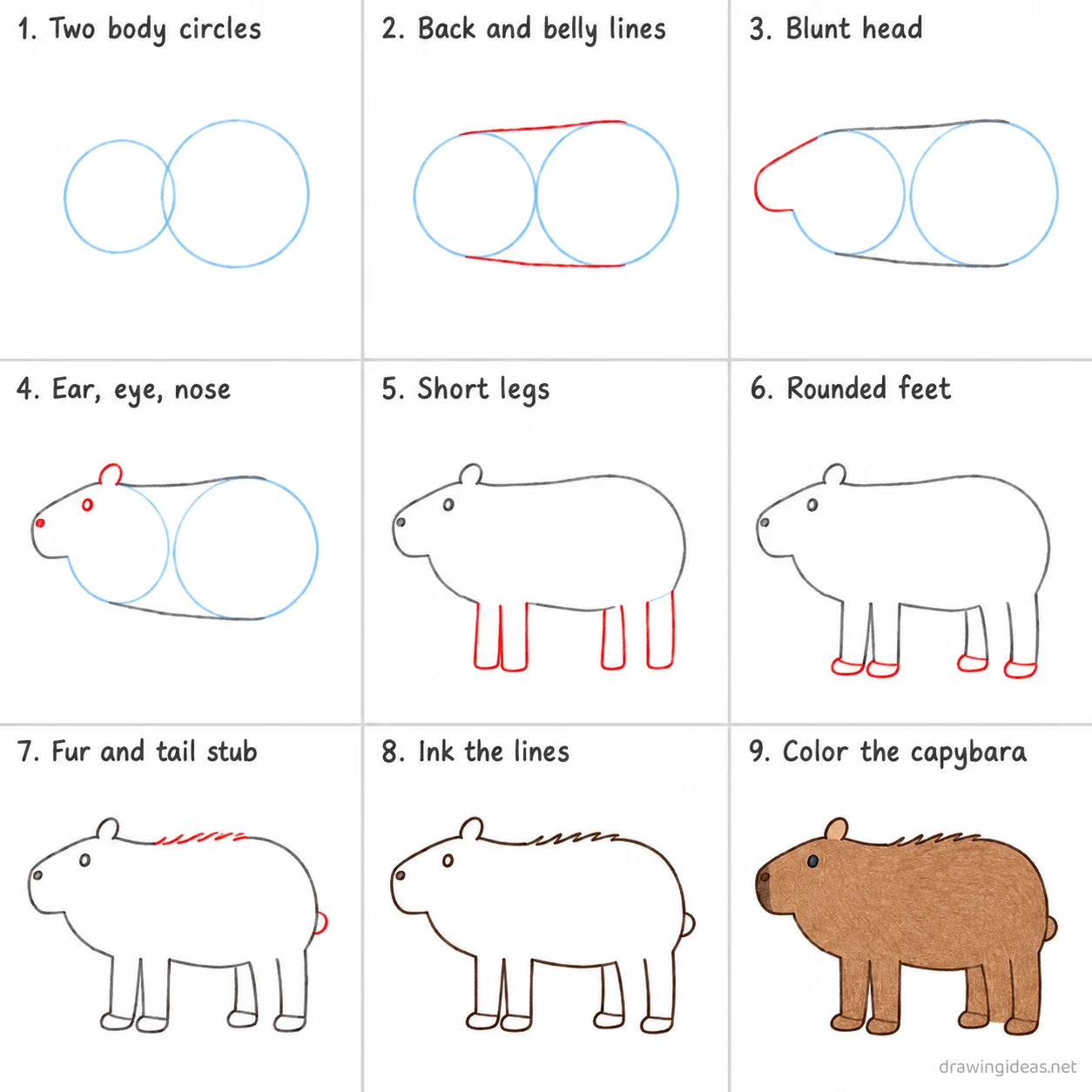 How to draw a capybara step by step — 9-step capybara drawing tutorial sheet