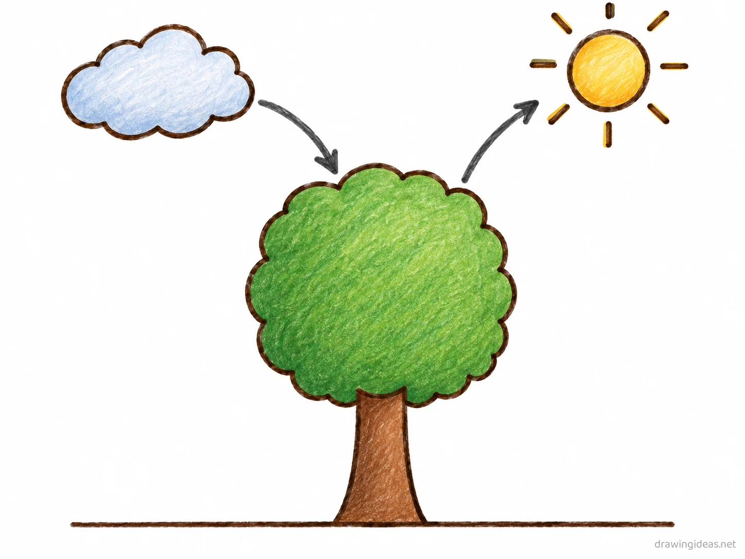 Carbon Cycle drawing — hand-drawn Carbon Cycle illustration with ink lines and soft colors