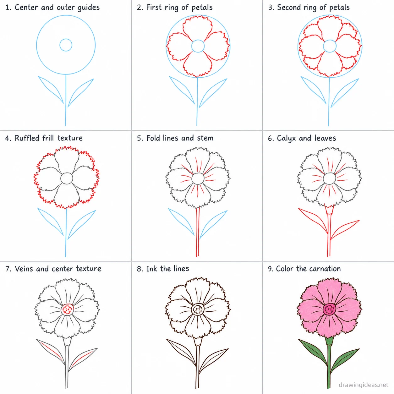 How to draw a carnation step by step — 9-step carnation drawing tutorial sheet