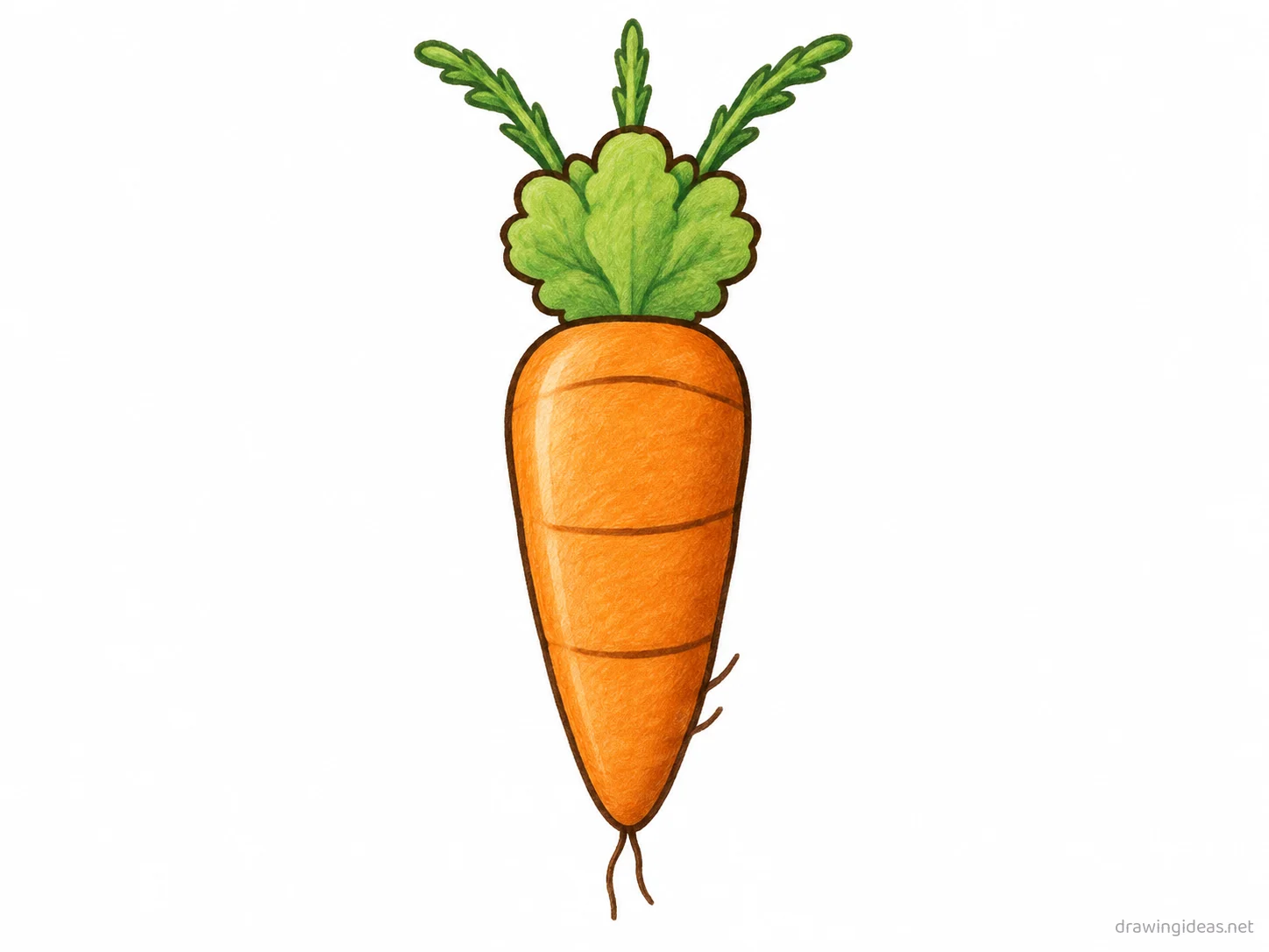 Carrot drawing — hand-drawn carrot illustration with ink lines and soft colors