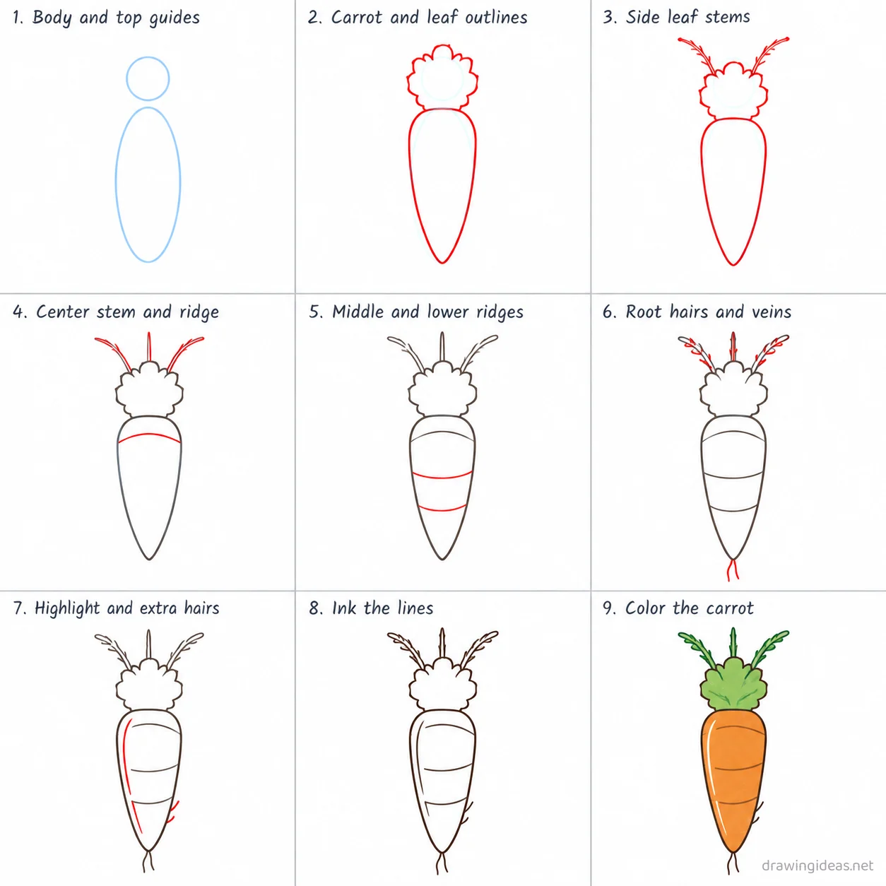 How to draw a carrot step by step — 9-step carrot drawing tutorial sheet
