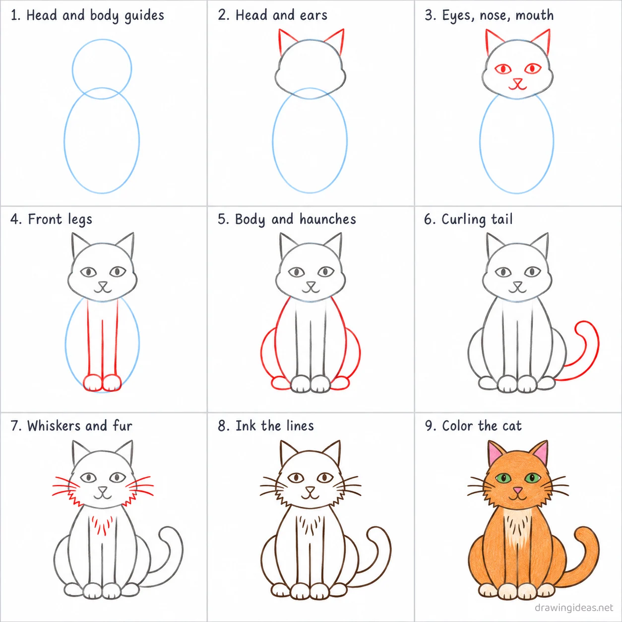 How to draw a cat step by step — 9-step cat drawing tutorial sheet