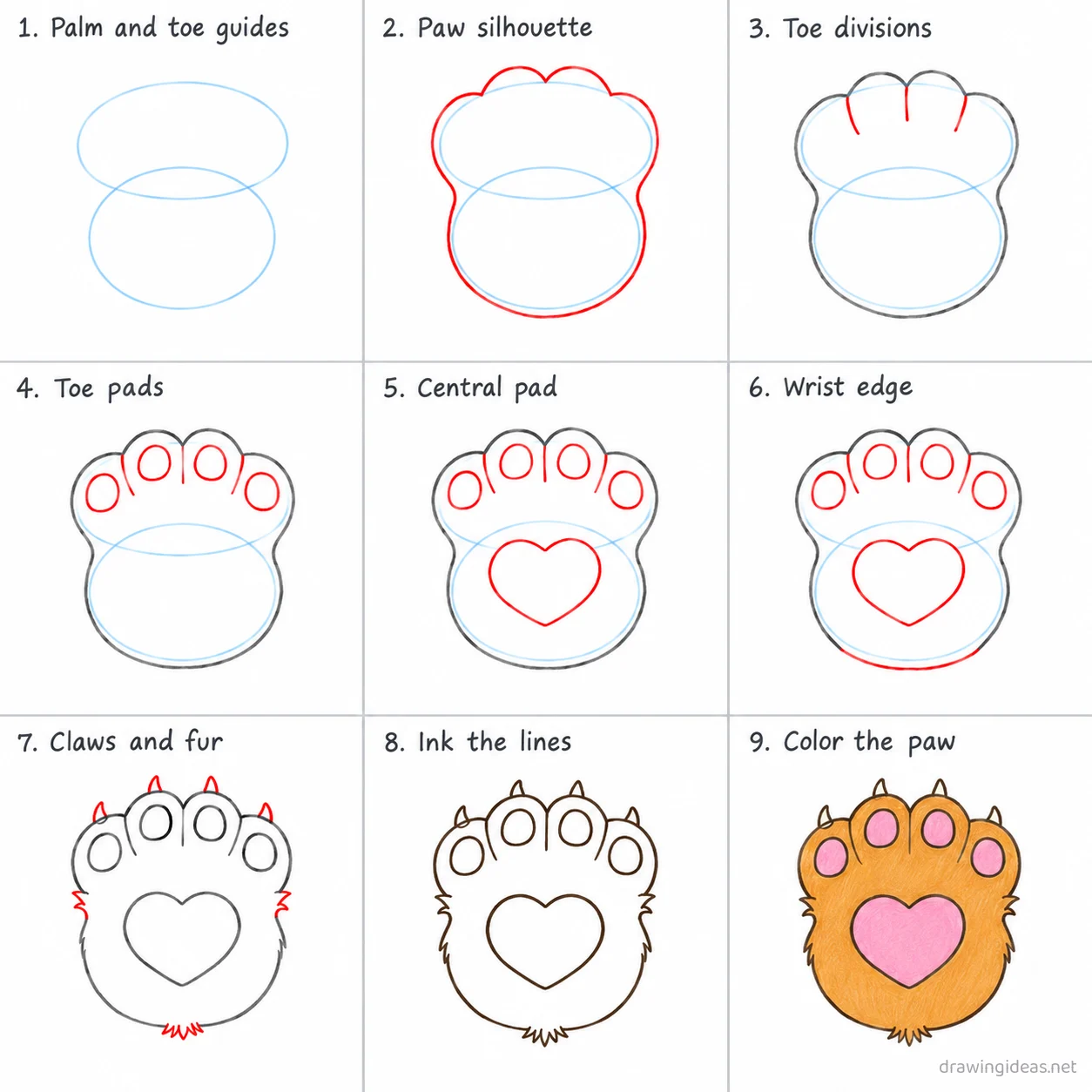 How to draw a cat paw step by step — 9-step cat paw drawing tutorial sheet