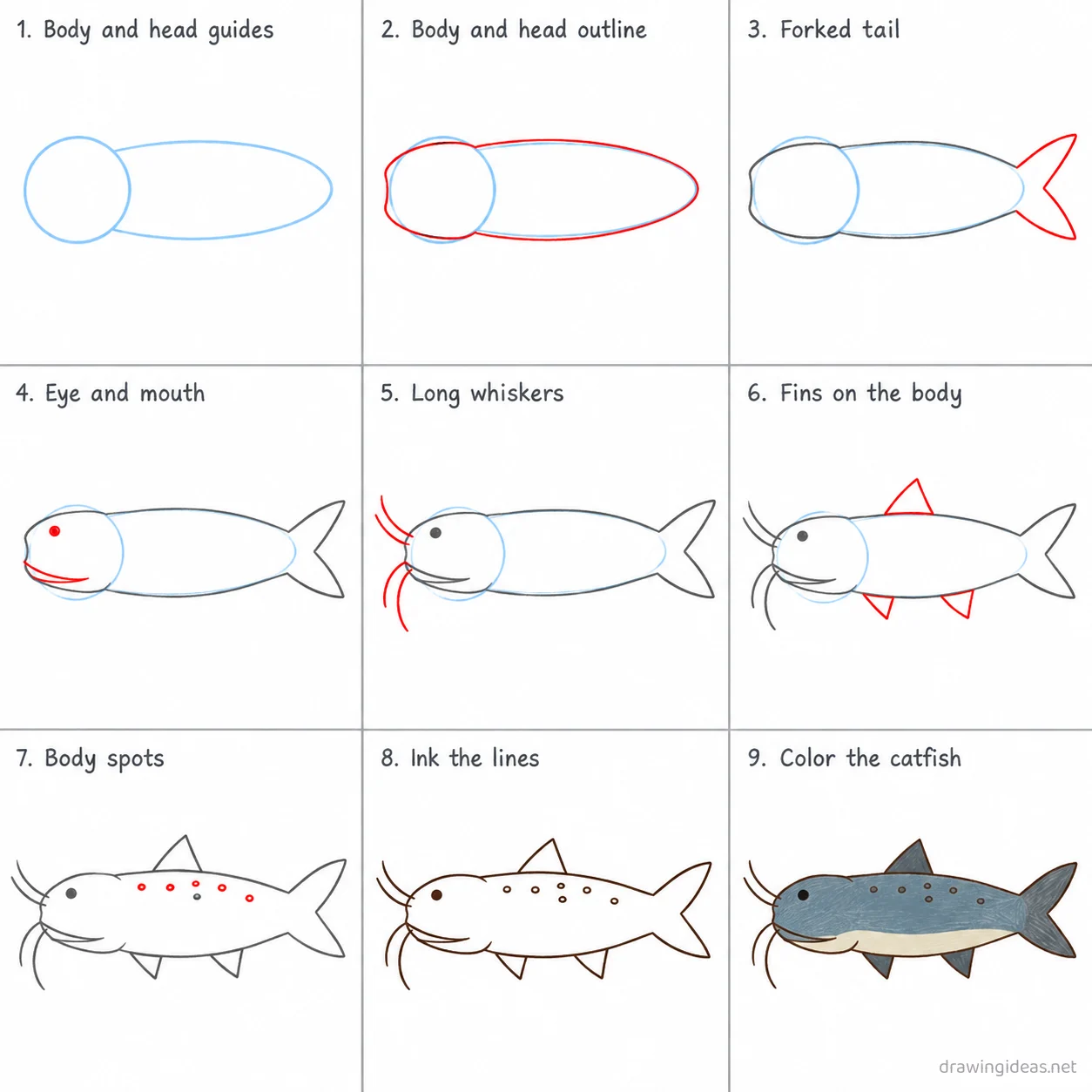 How to draw a catfish step by step — 9-step catfish drawing tutorial sheet