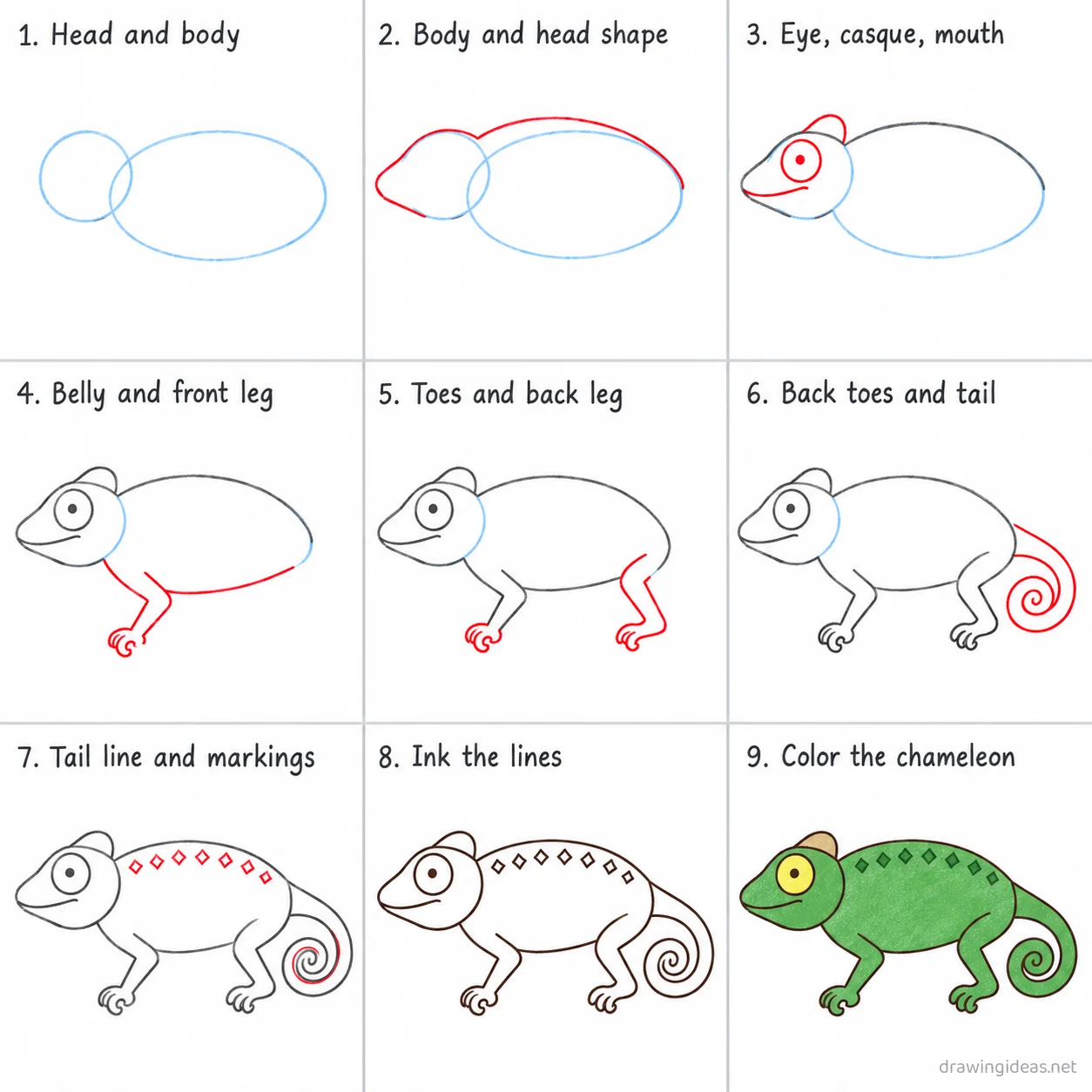 How to draw a chameleon step by step — 9-step chameleon drawing tutorial sheet