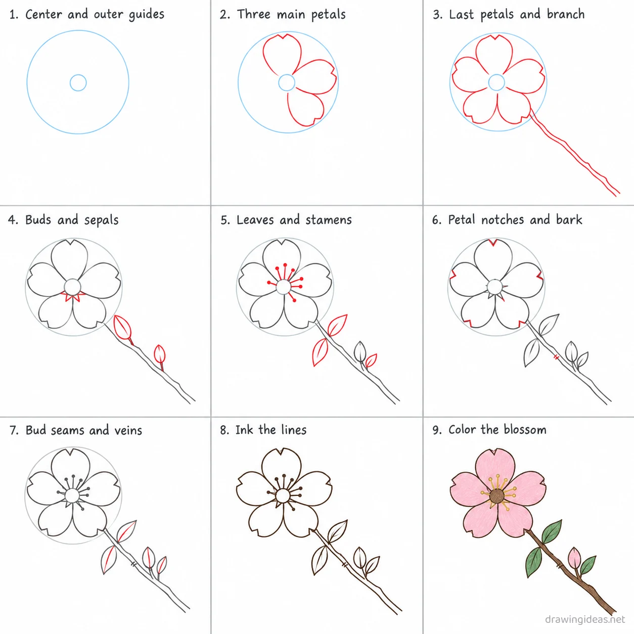 How to draw a cherry blossom step by step — 9-step cherry blossom drawing tutorial sheet