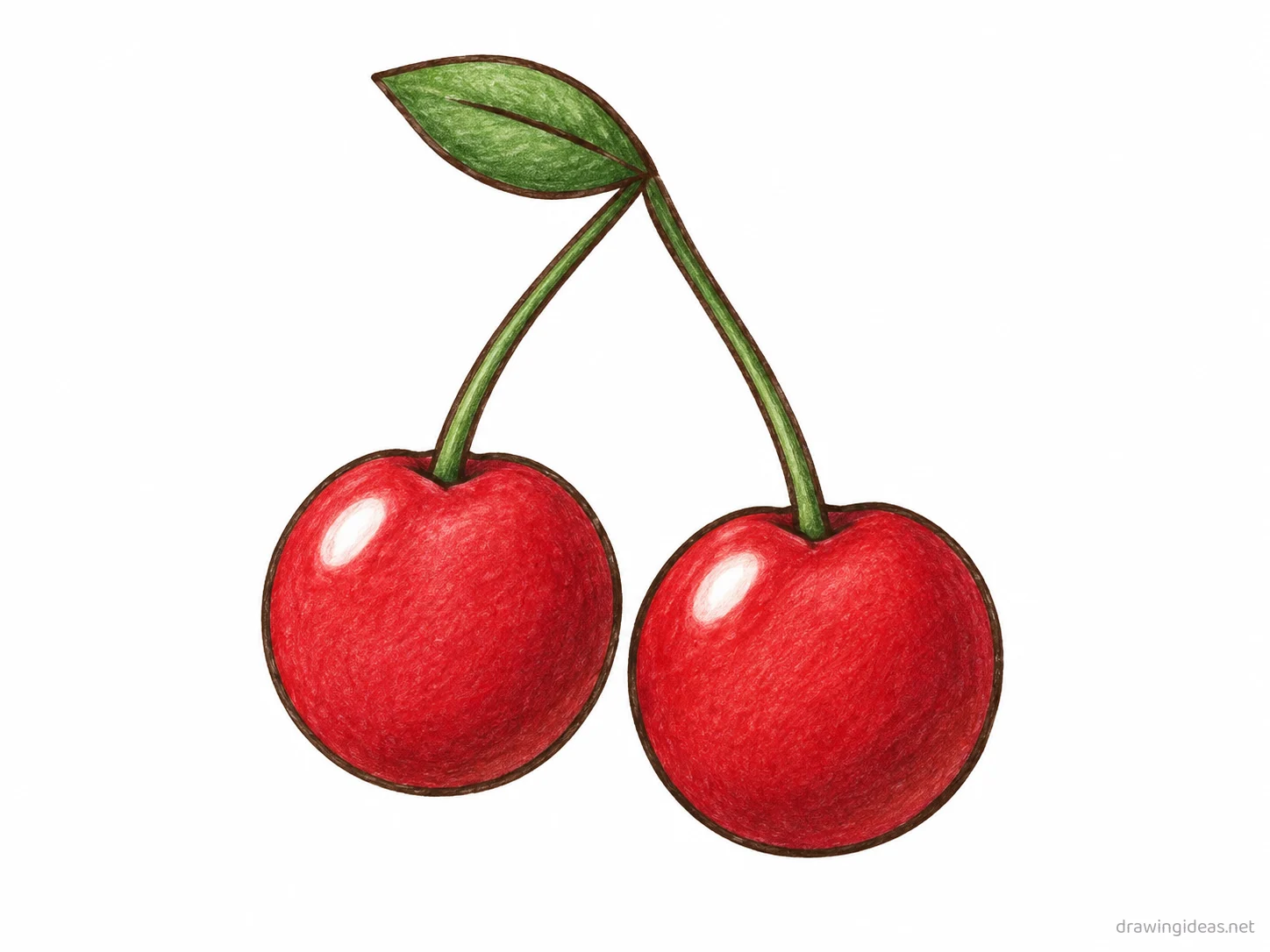 Cherry drawing — hand-drawn cherry illustration with ink lines and soft colors