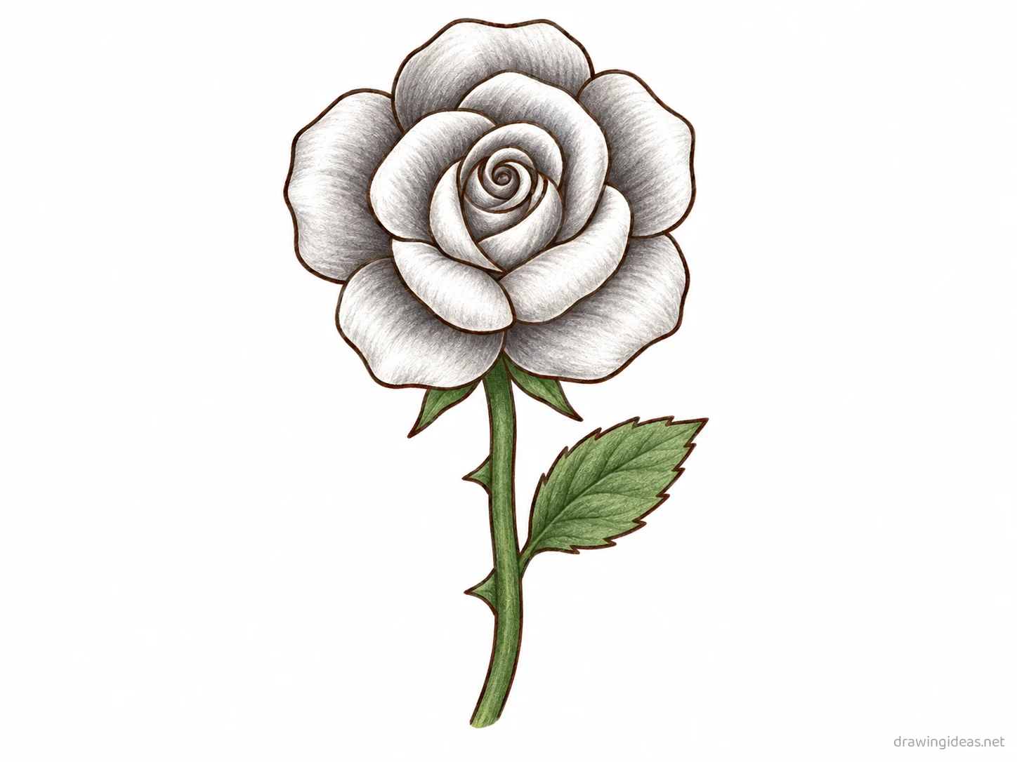 Chicano drawing — hand-drawn Chicano illustration with ink lines and soft colors